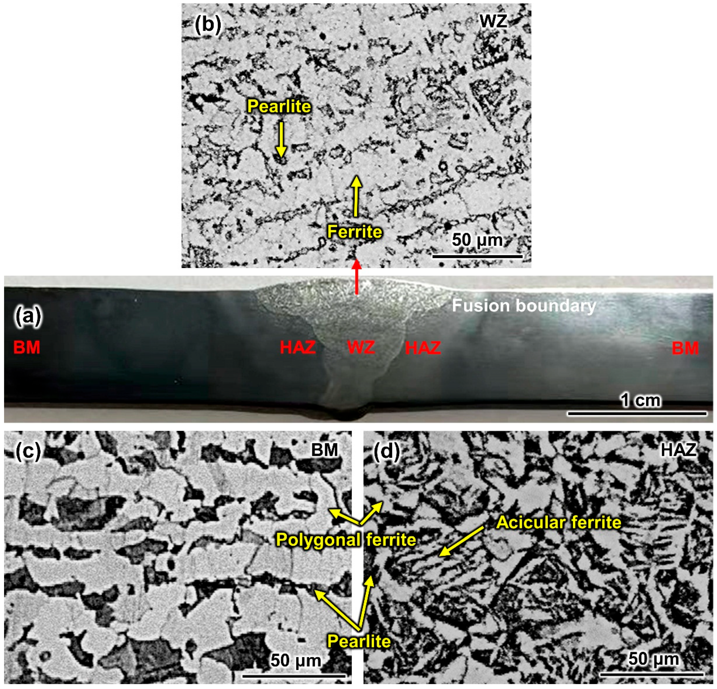 Metals 15 01083 g004 Metals 15 01083 g004
