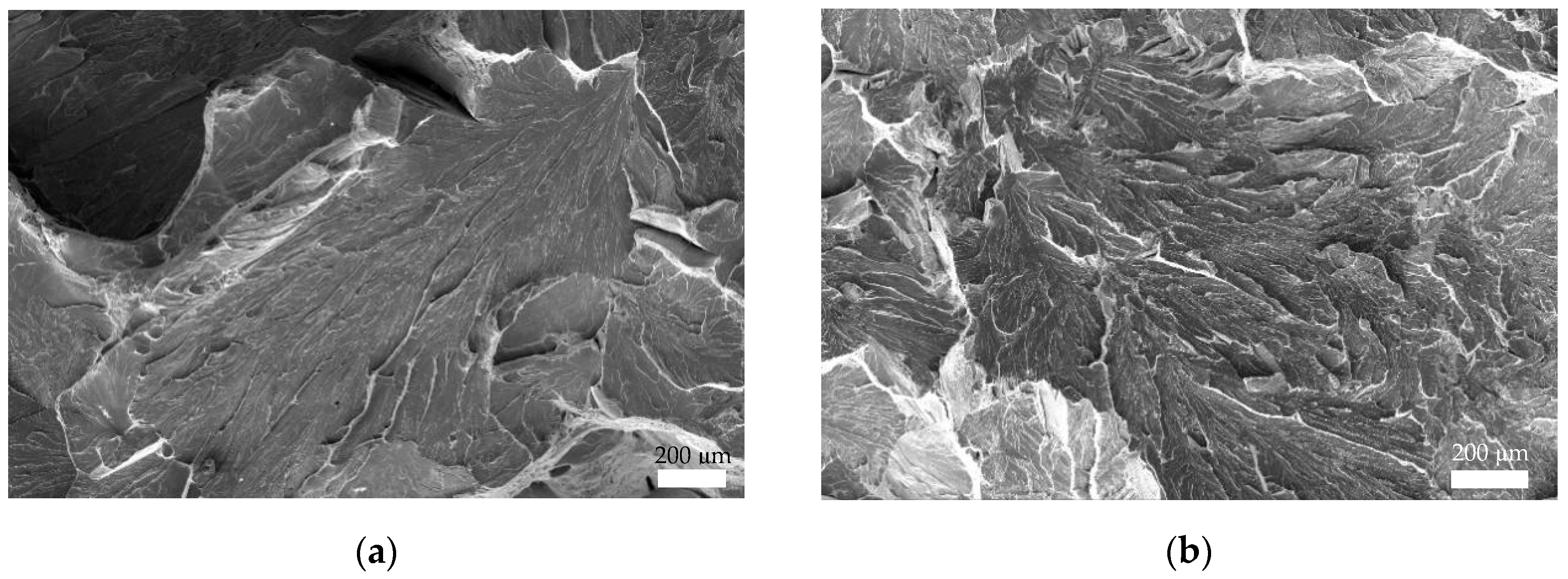 Metals 15 01086 g008 Metals 15 01086 g008