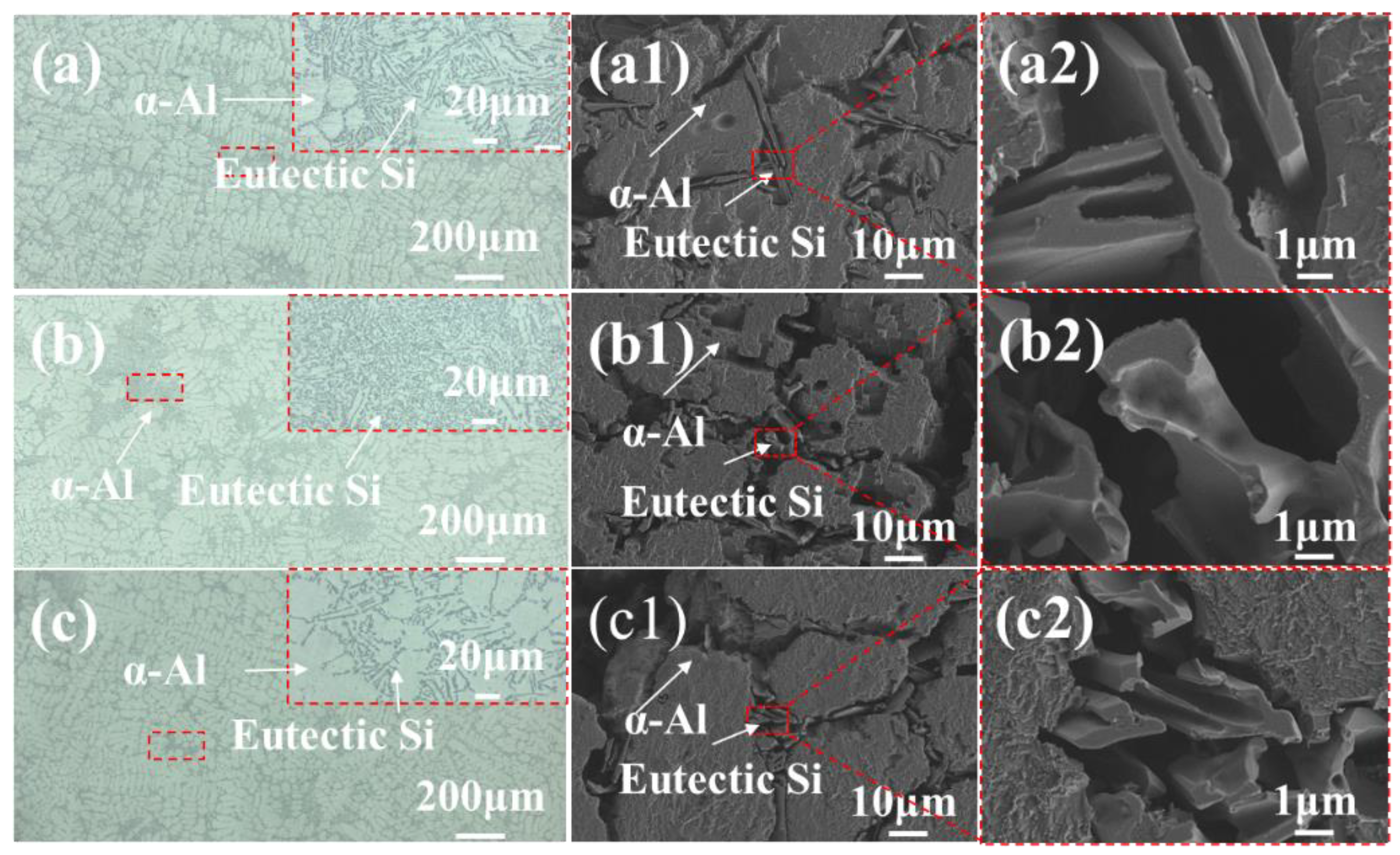 Metals 15 01087 g001