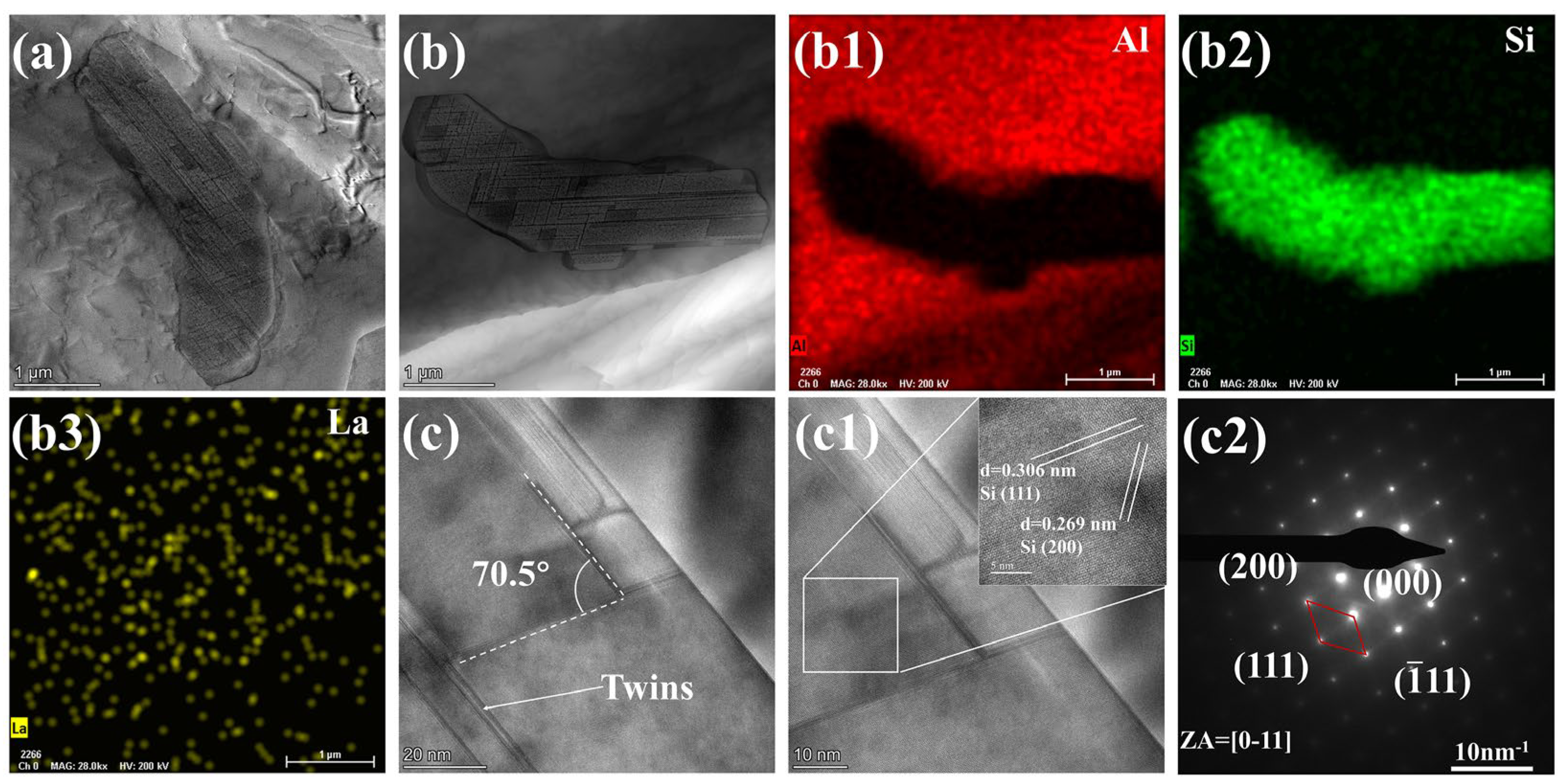 Metals 15 01087 g005
