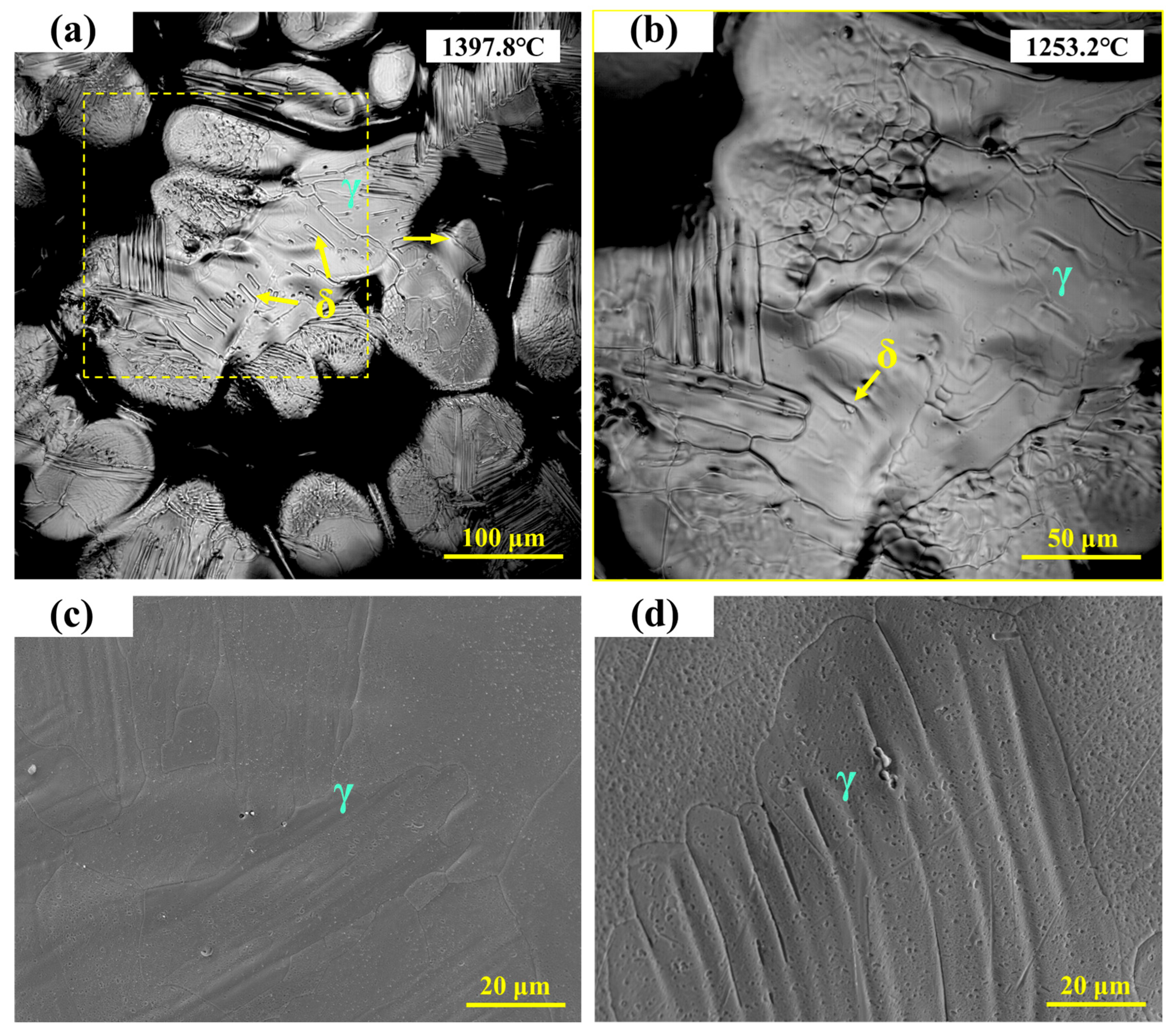 Metals 15 01091 g005