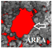 Metals 15 01154 i001