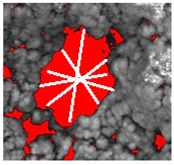 Metals 15 01154 i003