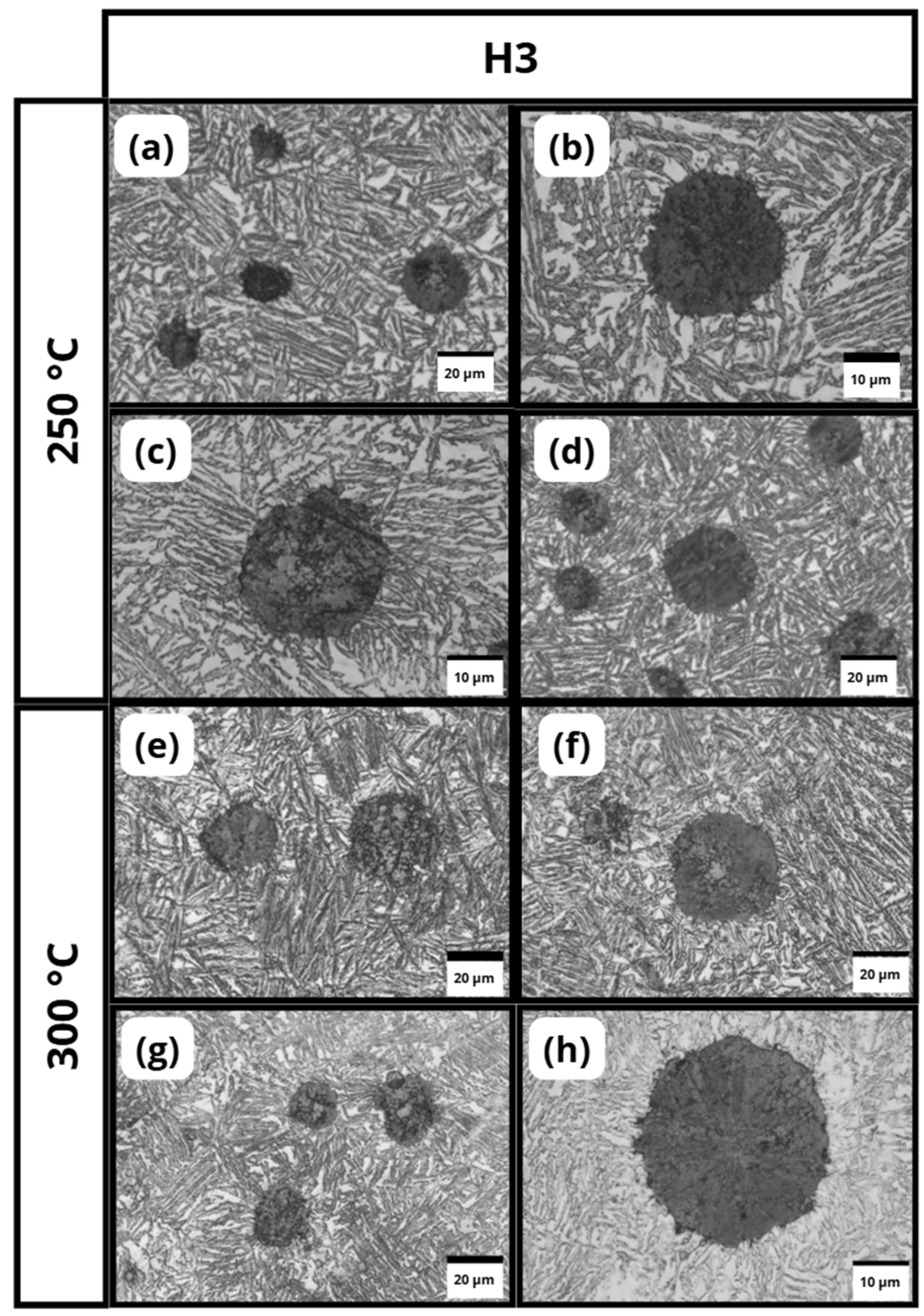 Metals 15 01168 g006 Metals 15 01168 g006