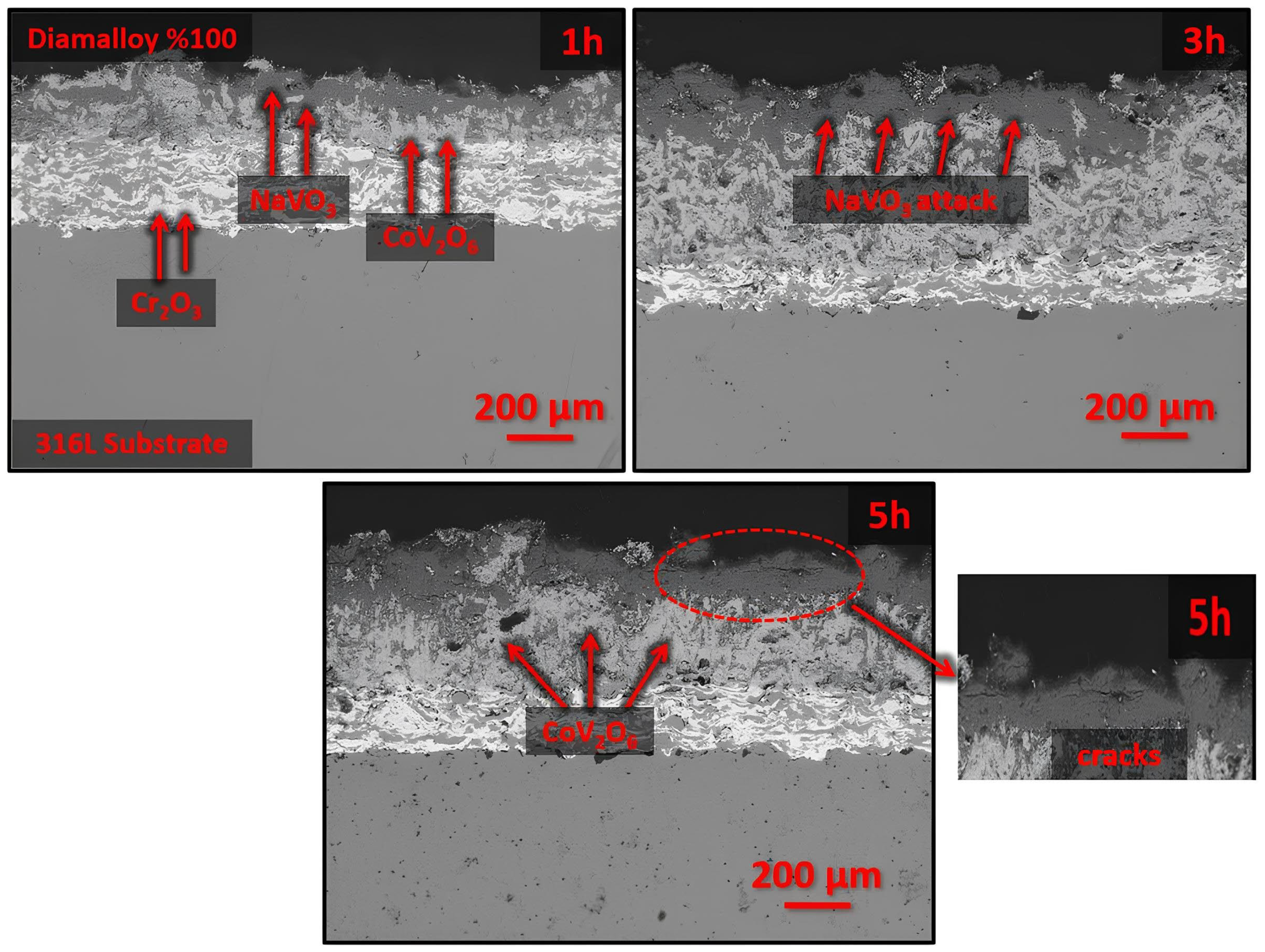 Metals 15 01169 g005