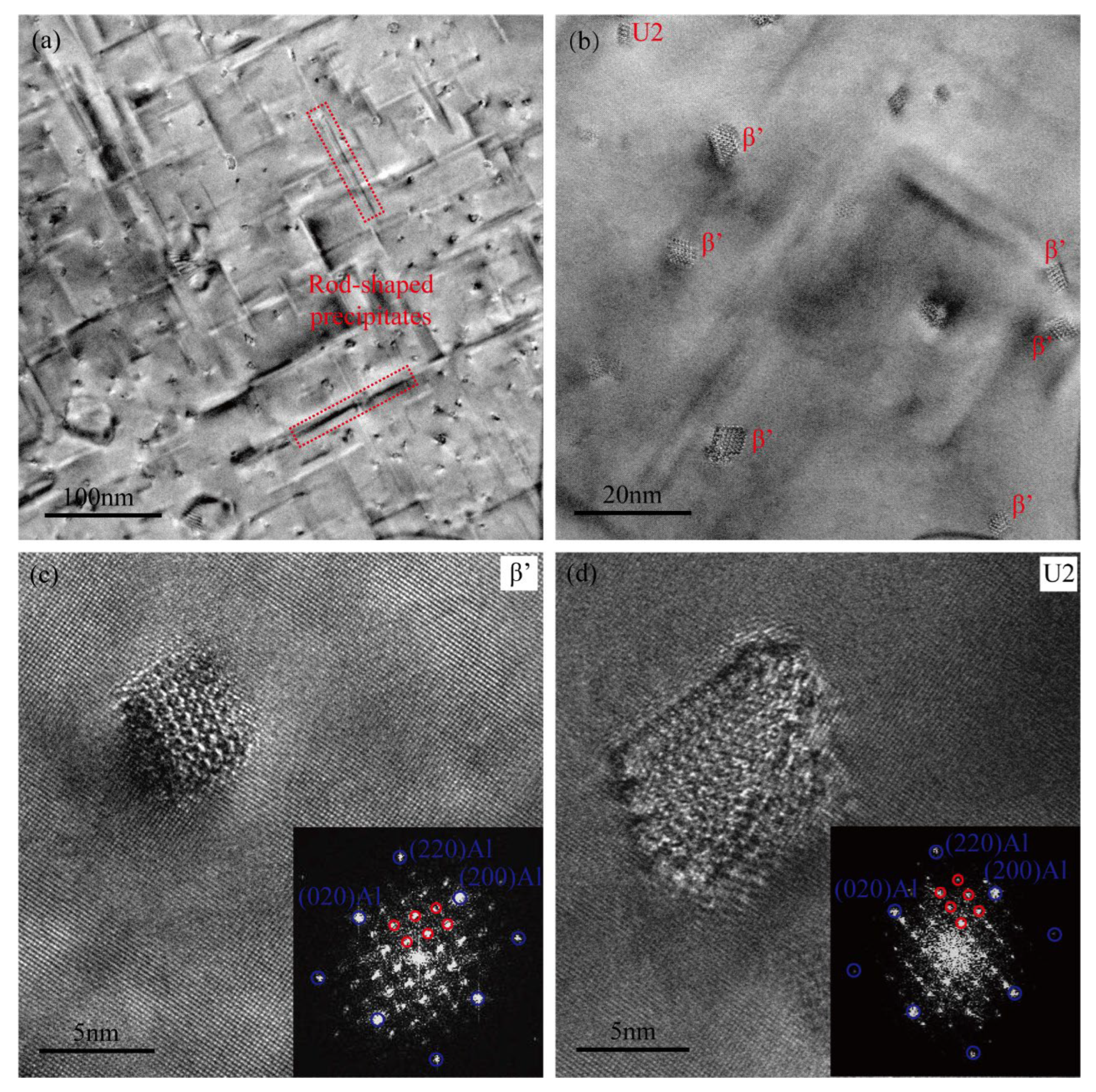 Metals 15 01171 g007