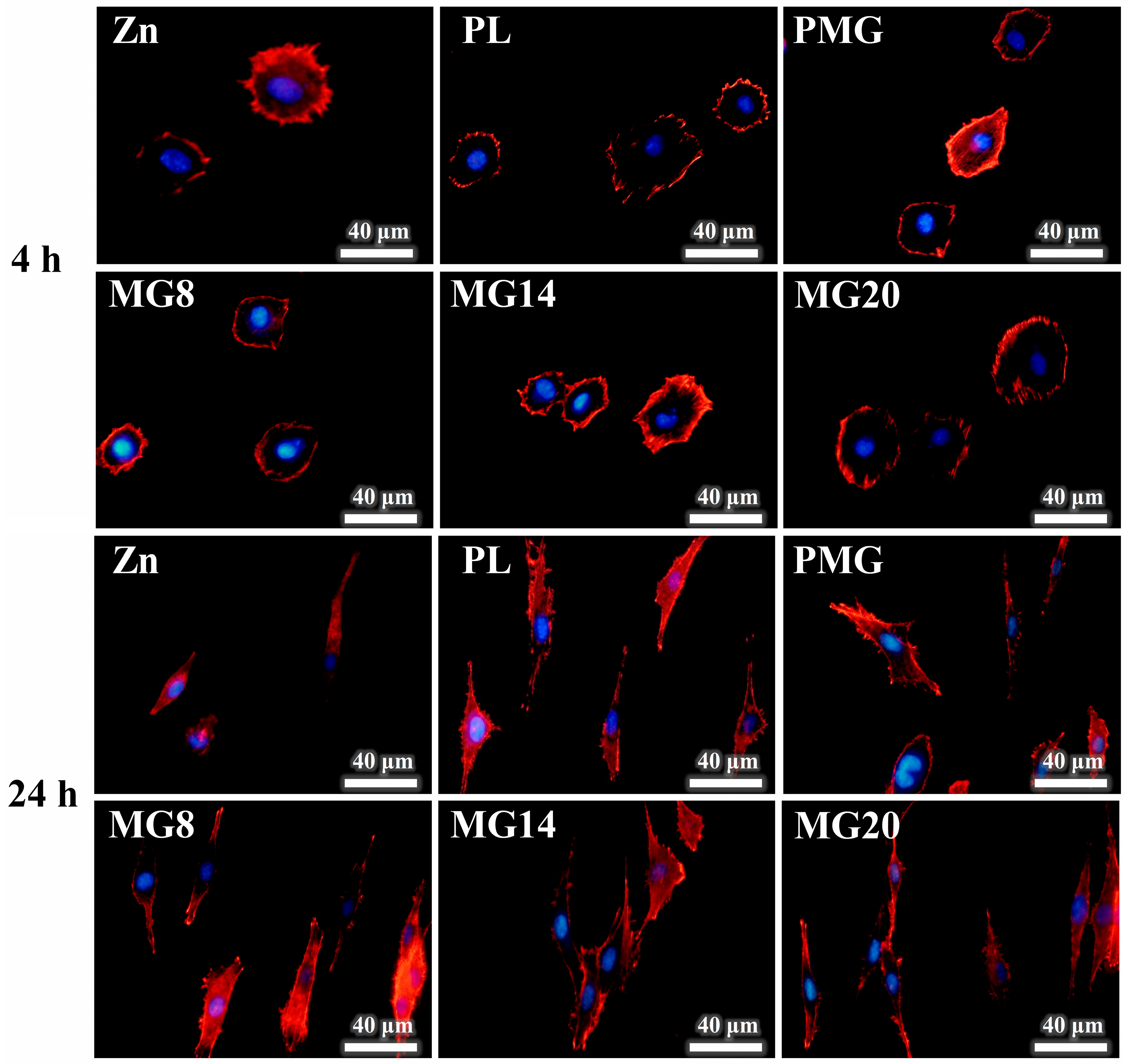 Metals 15 01187 g012 Metals 15 01187 g012