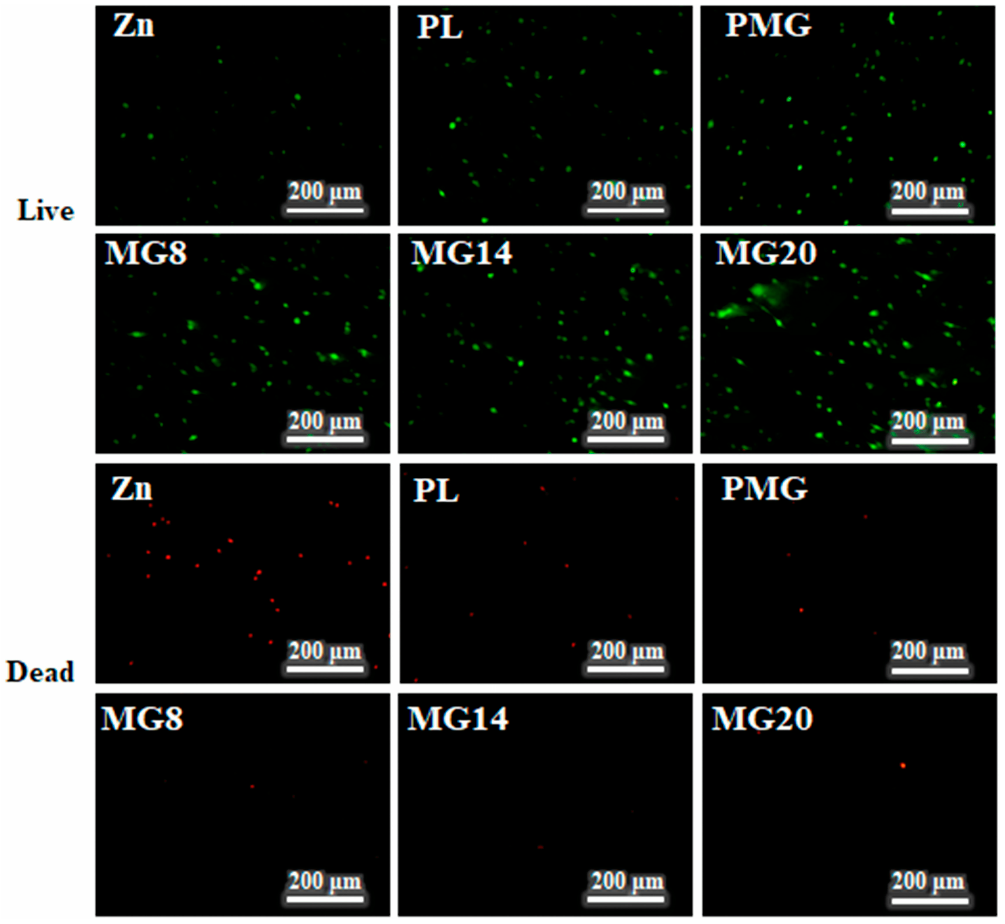 Metals 15 01187 g013 Metals 15 01187 g013