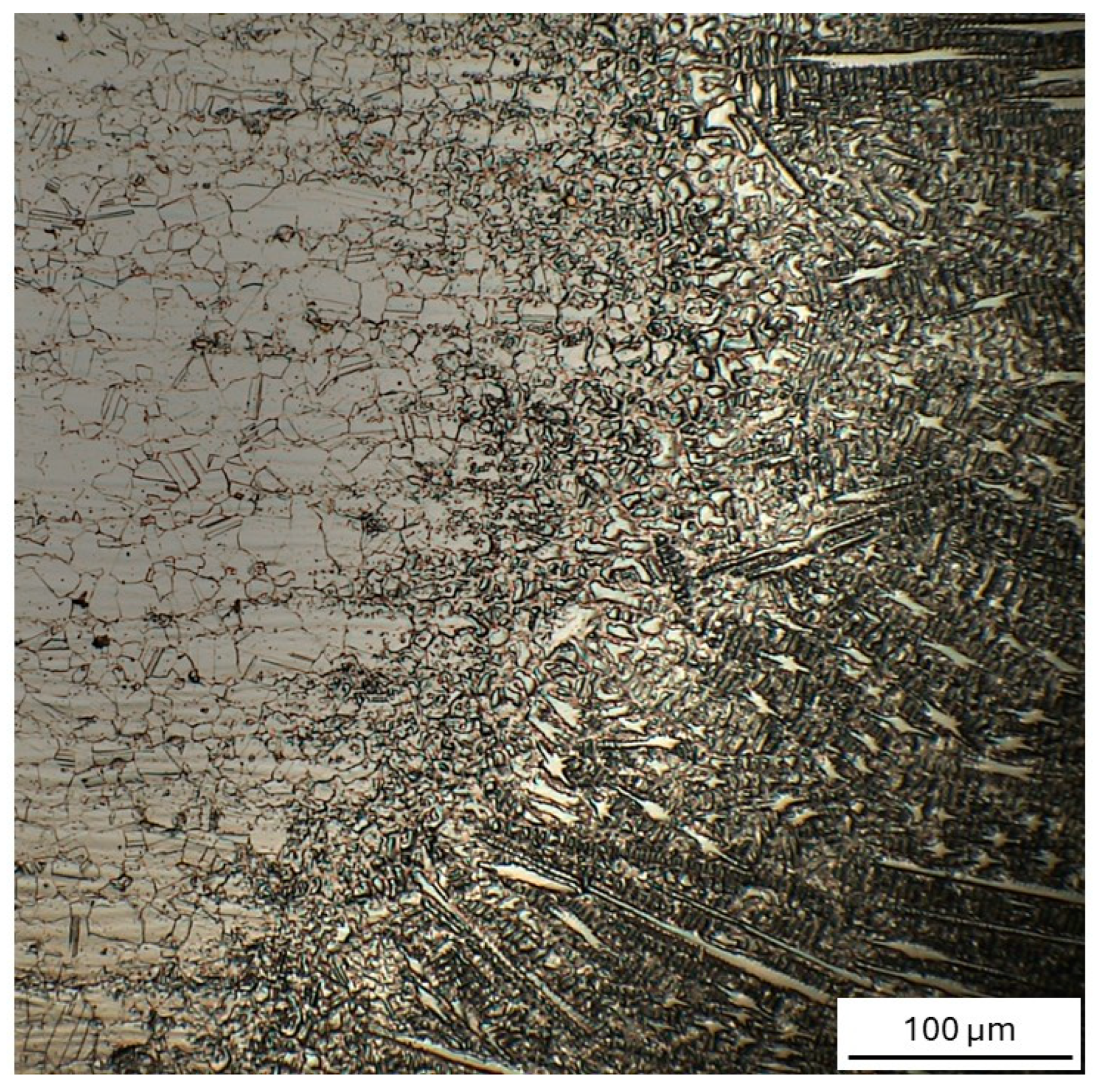 Metals 15 01296 g010