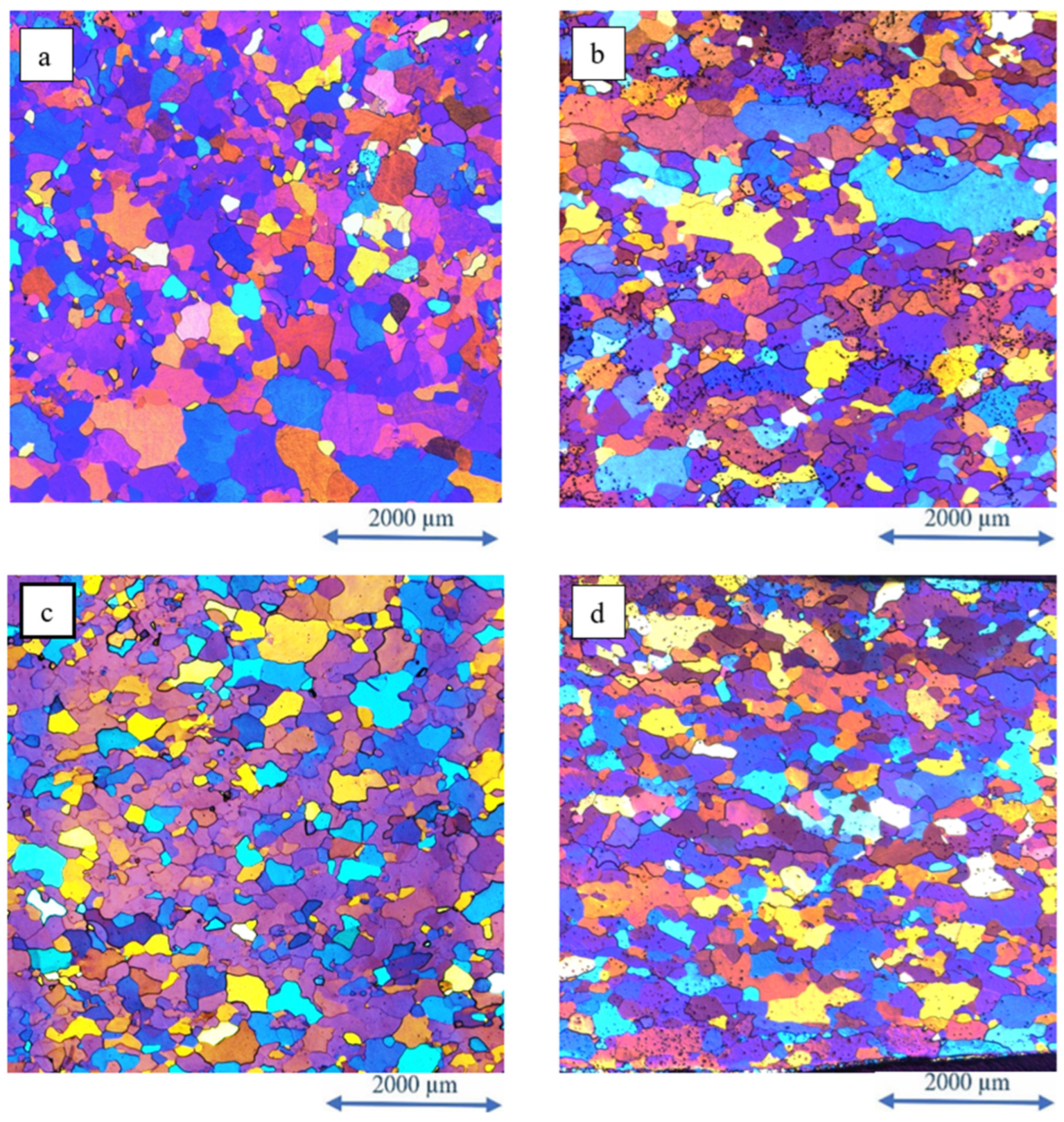 Metals 15 01348 g001