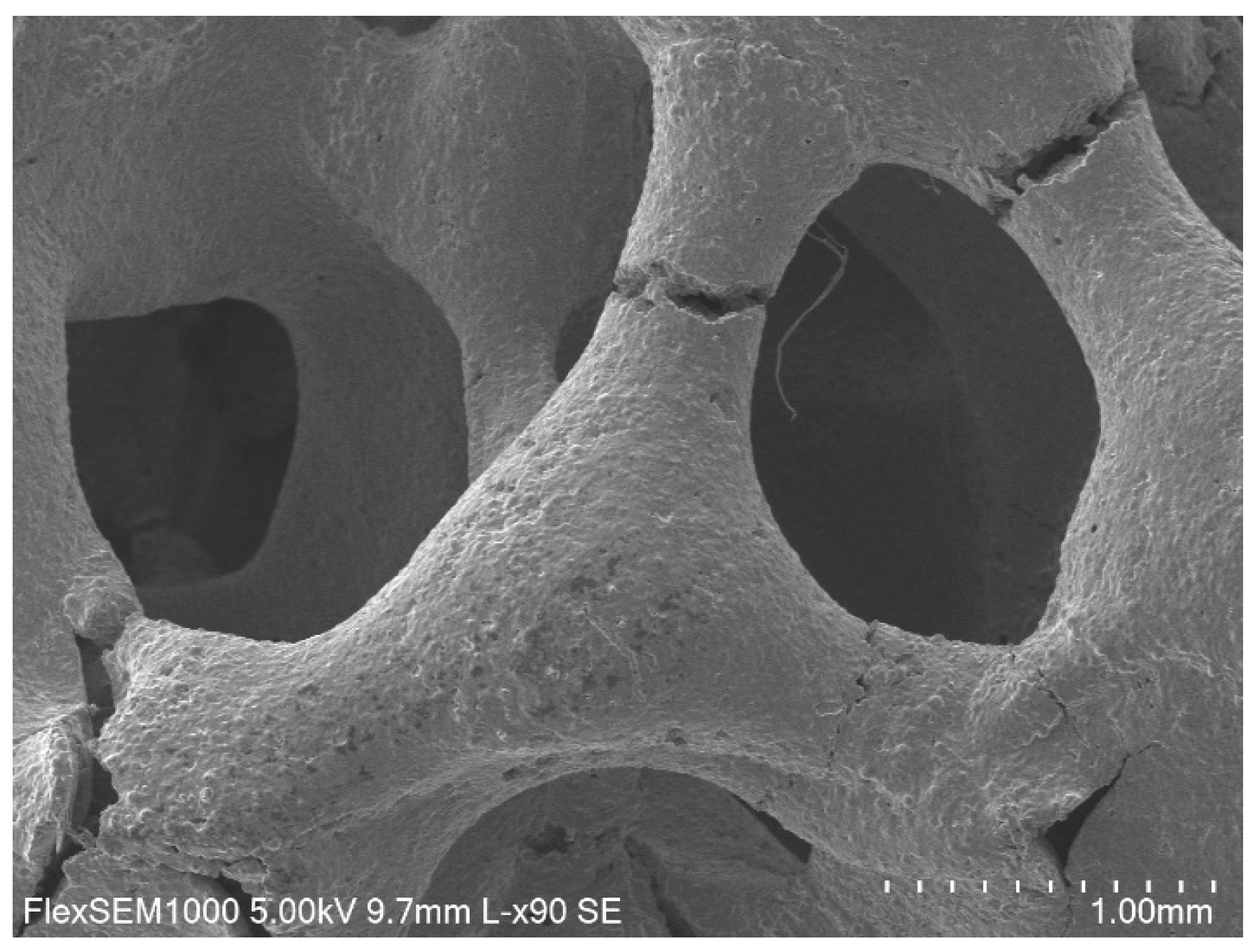 Metals 15 01354 g010