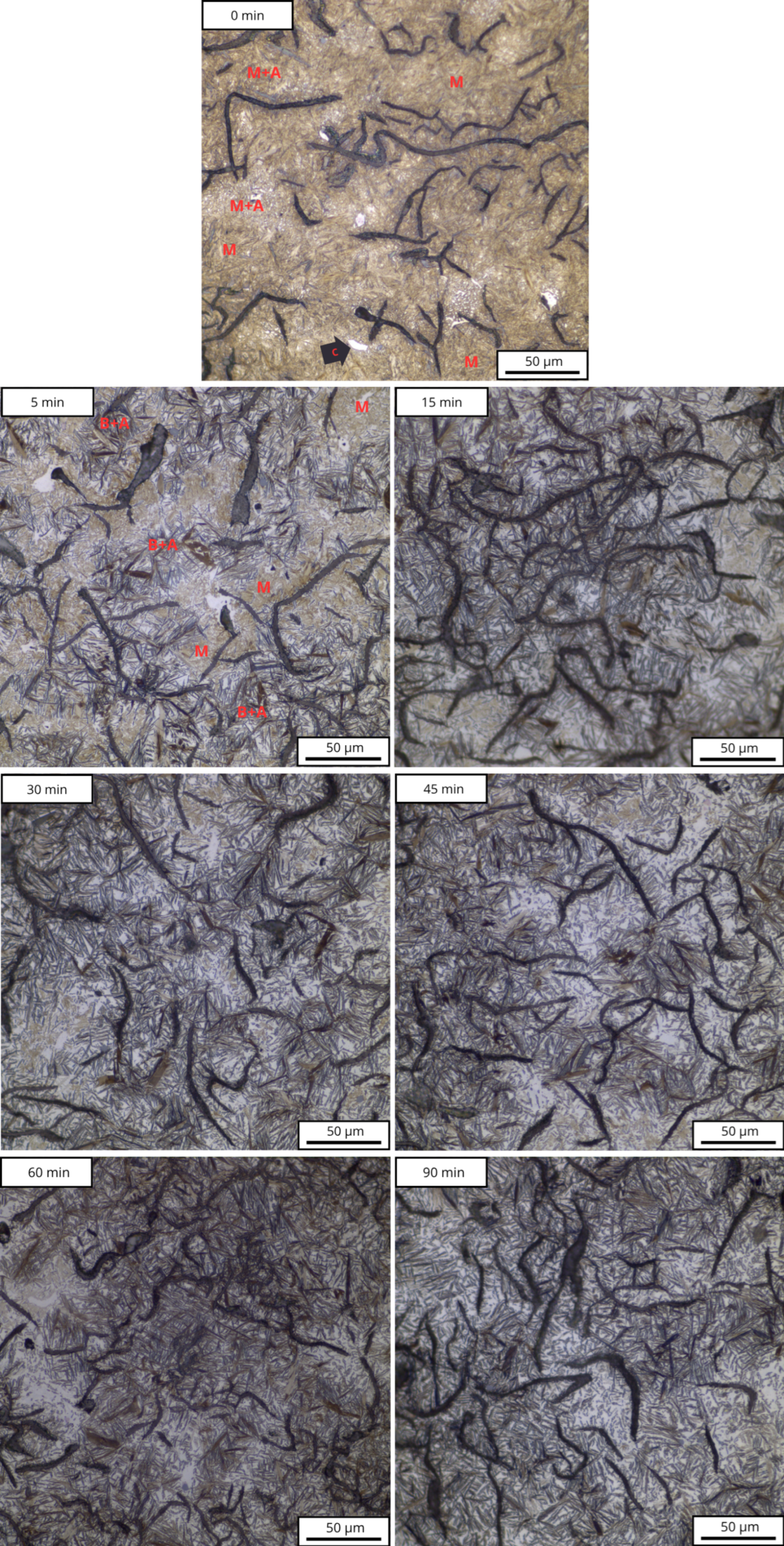Metals 15 01361 g002 Metals 15 01361 g002