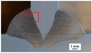 Metals 15 01365 i002