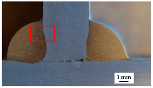 Metals 15 01365 i003