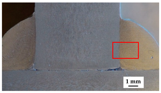 Metals 15 01365 i011