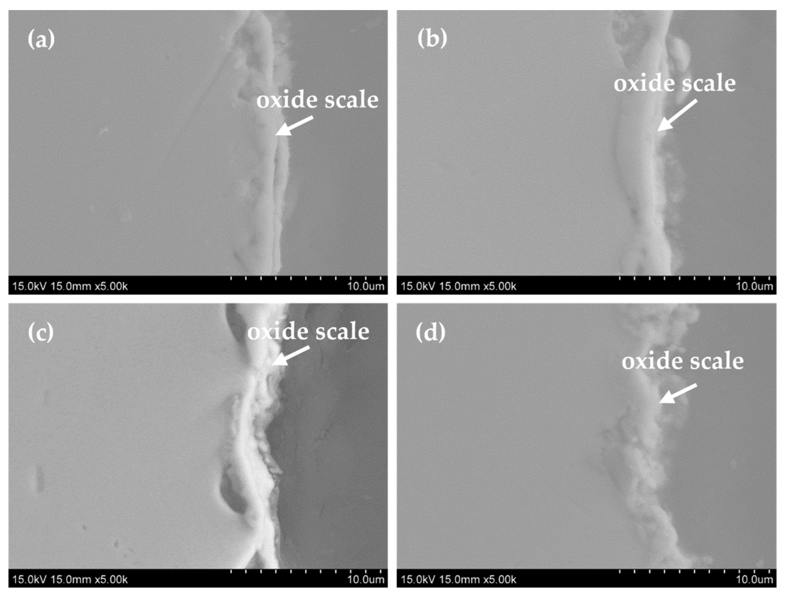 Metals 15 01370 g007