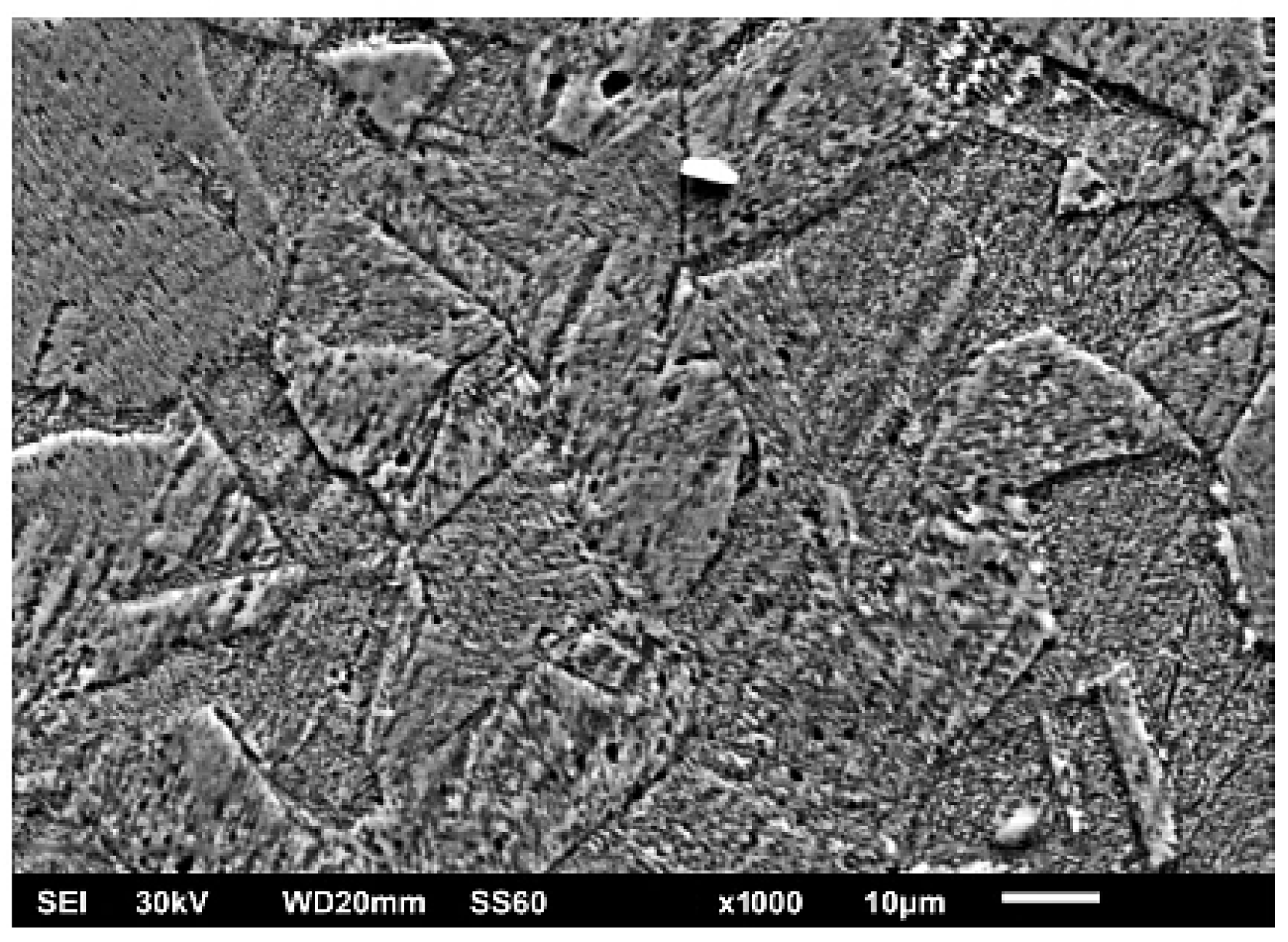 Metals 15 01371 g006