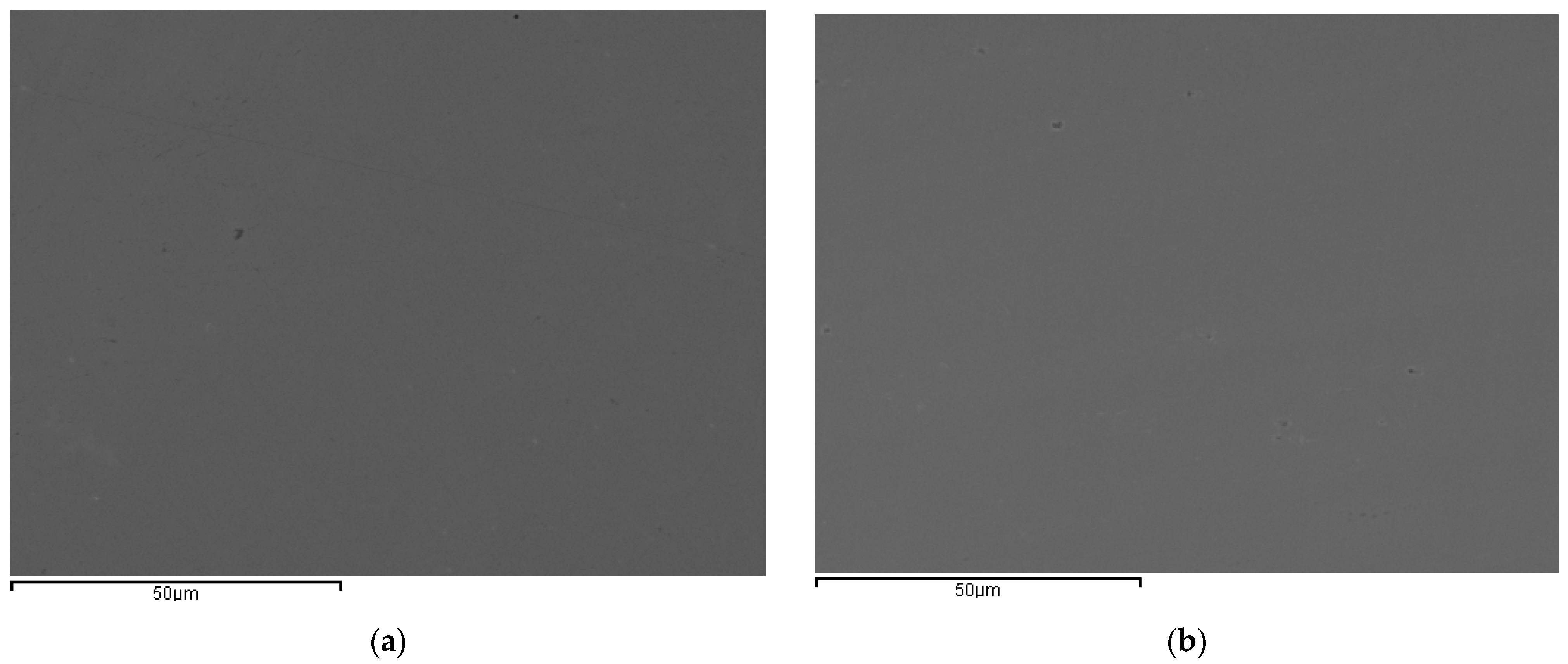 Metals 15 01390 g001