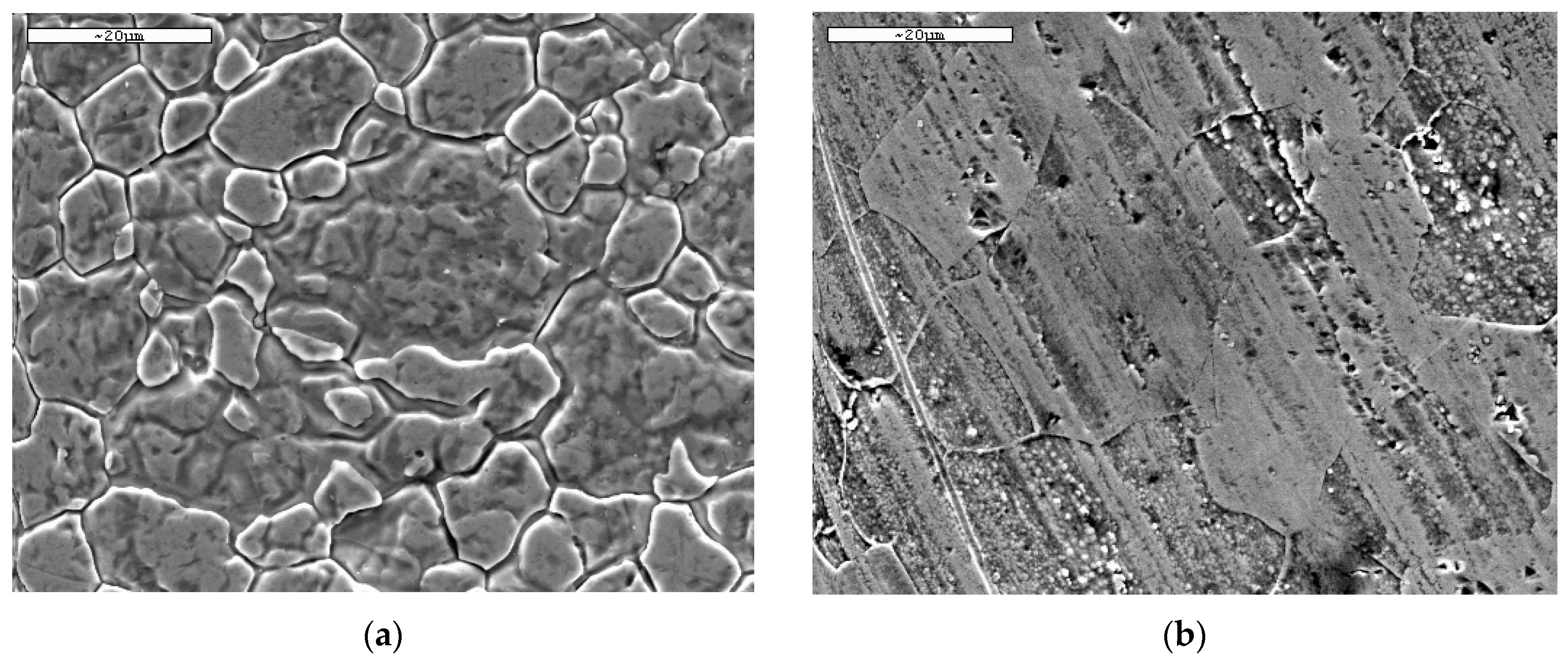 Metals 15 01390 g004