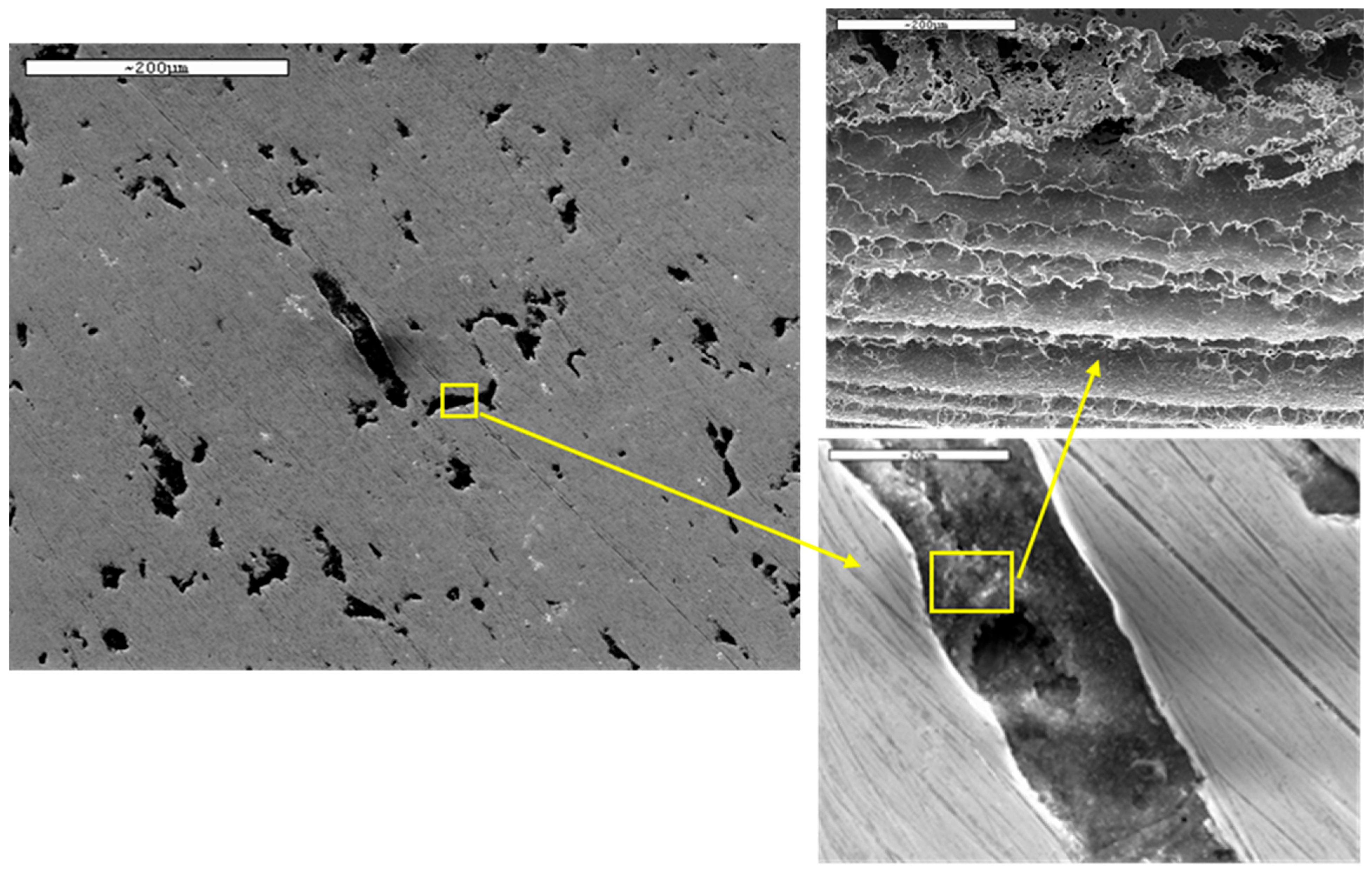 Metals 15 01390 g012