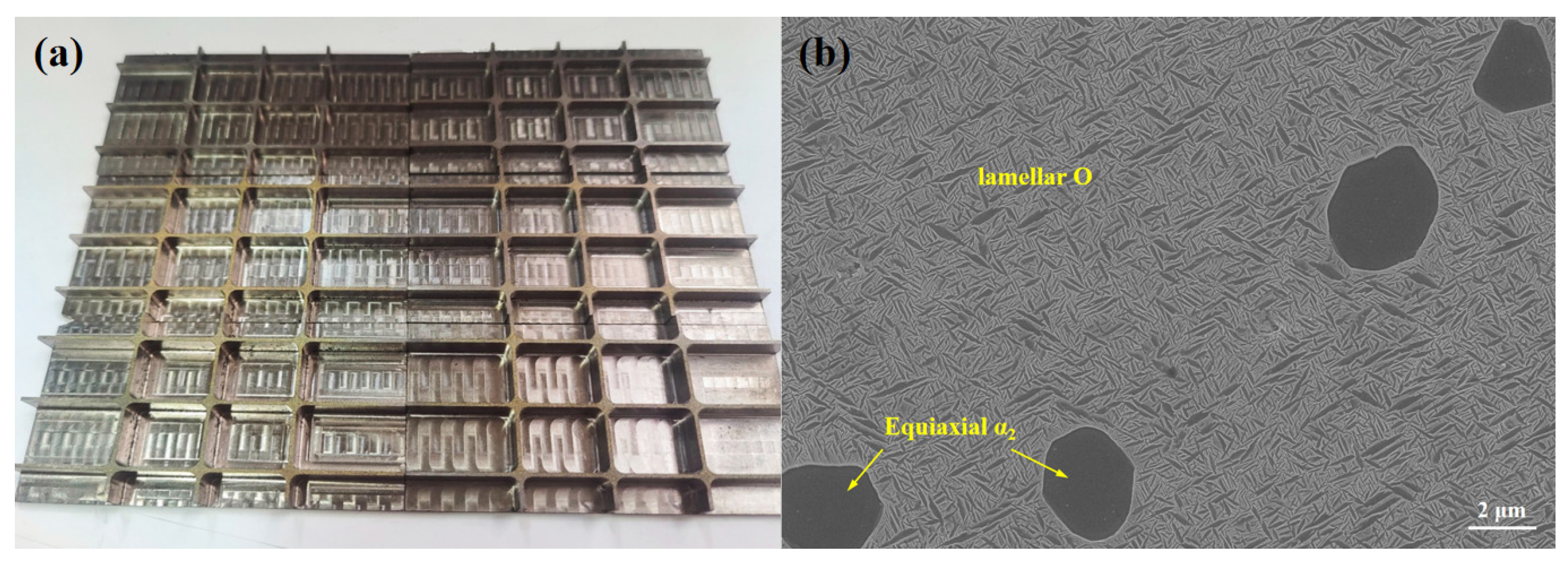 Metals 16 00097 g001