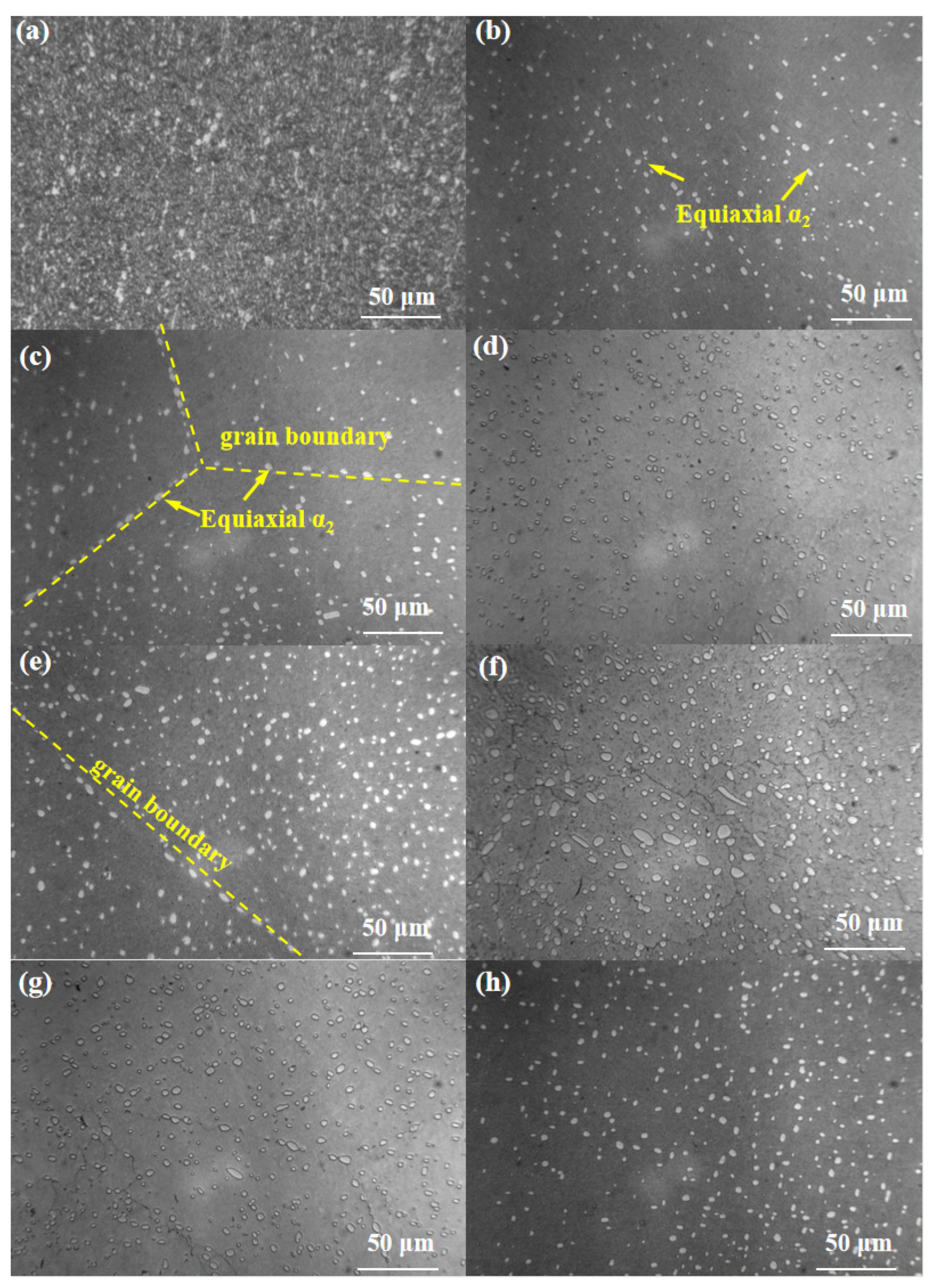 Metals 16 00097 g005