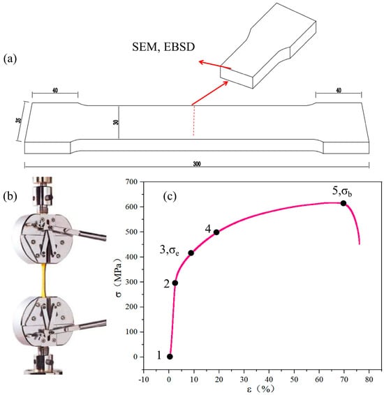 Schematic of tensile test: (a) Tensile specimen, mm; (b) Tensile testing machine; (c) Stress–strain curve and load corresponding to magnetic signal measurement points.