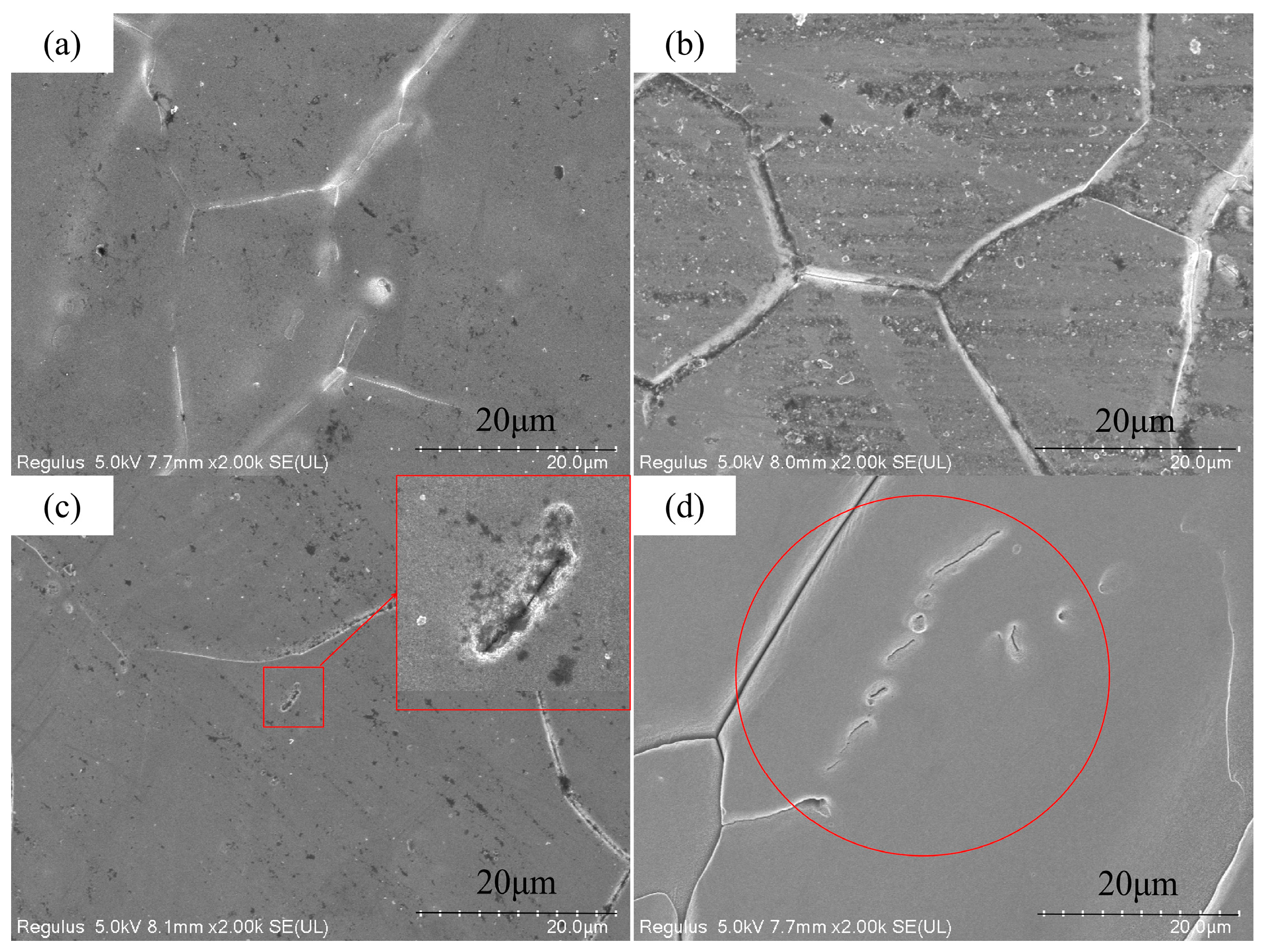 Metals 16 00134 g004