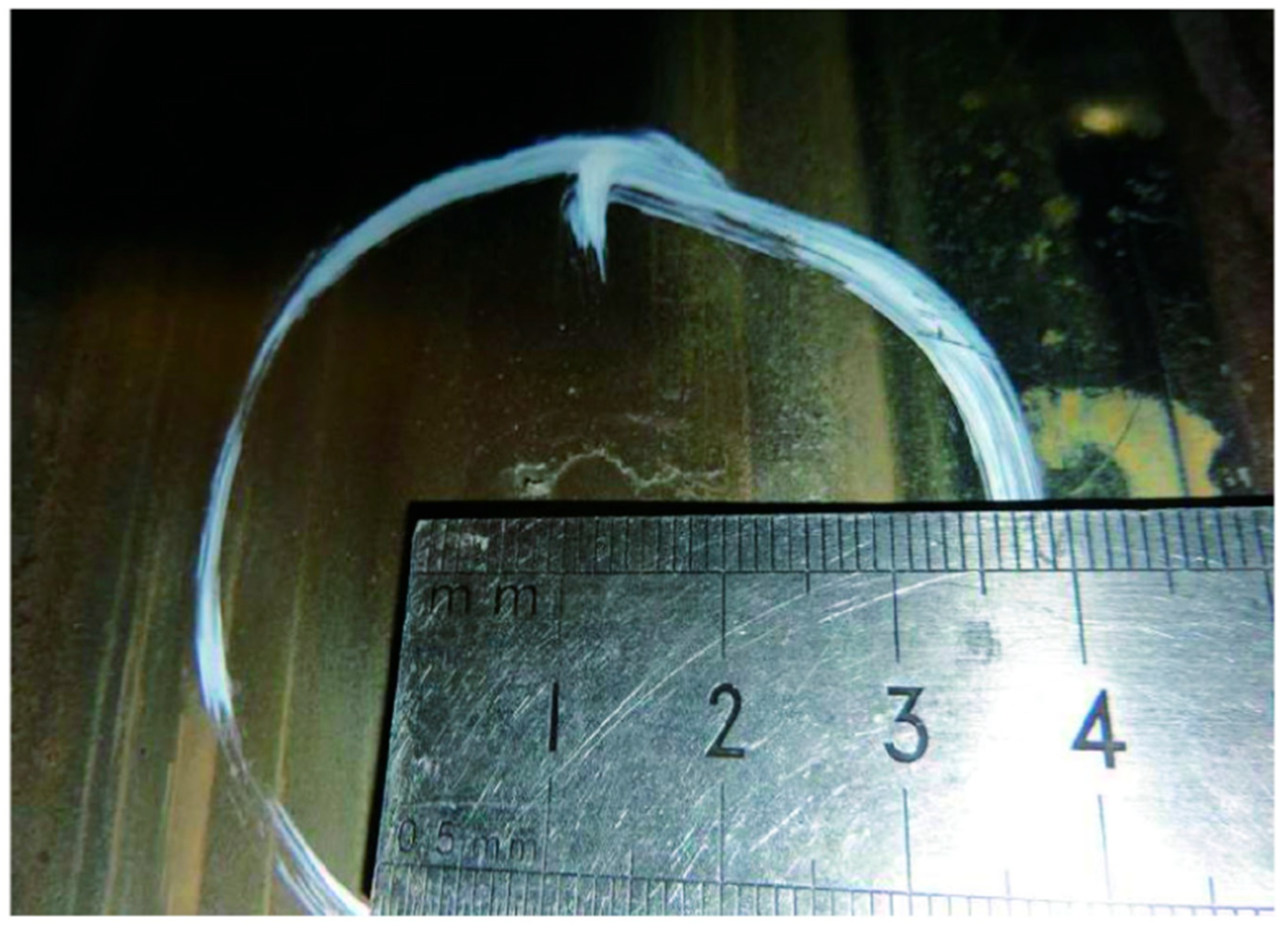 Metals 16 00168 g020 Metals 16 00168 g020