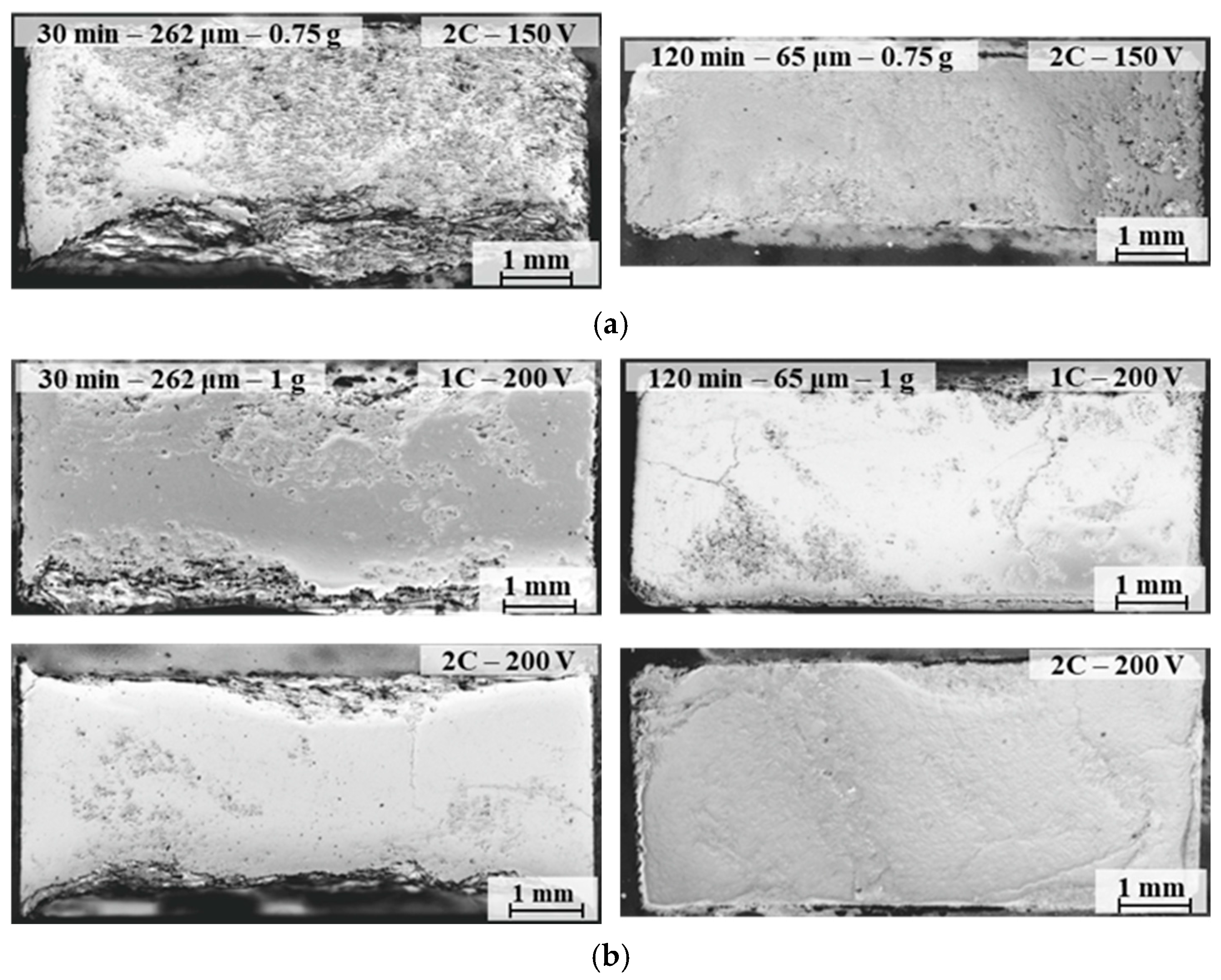 Metals 16 00239 g009 Metals 16 00239 g009