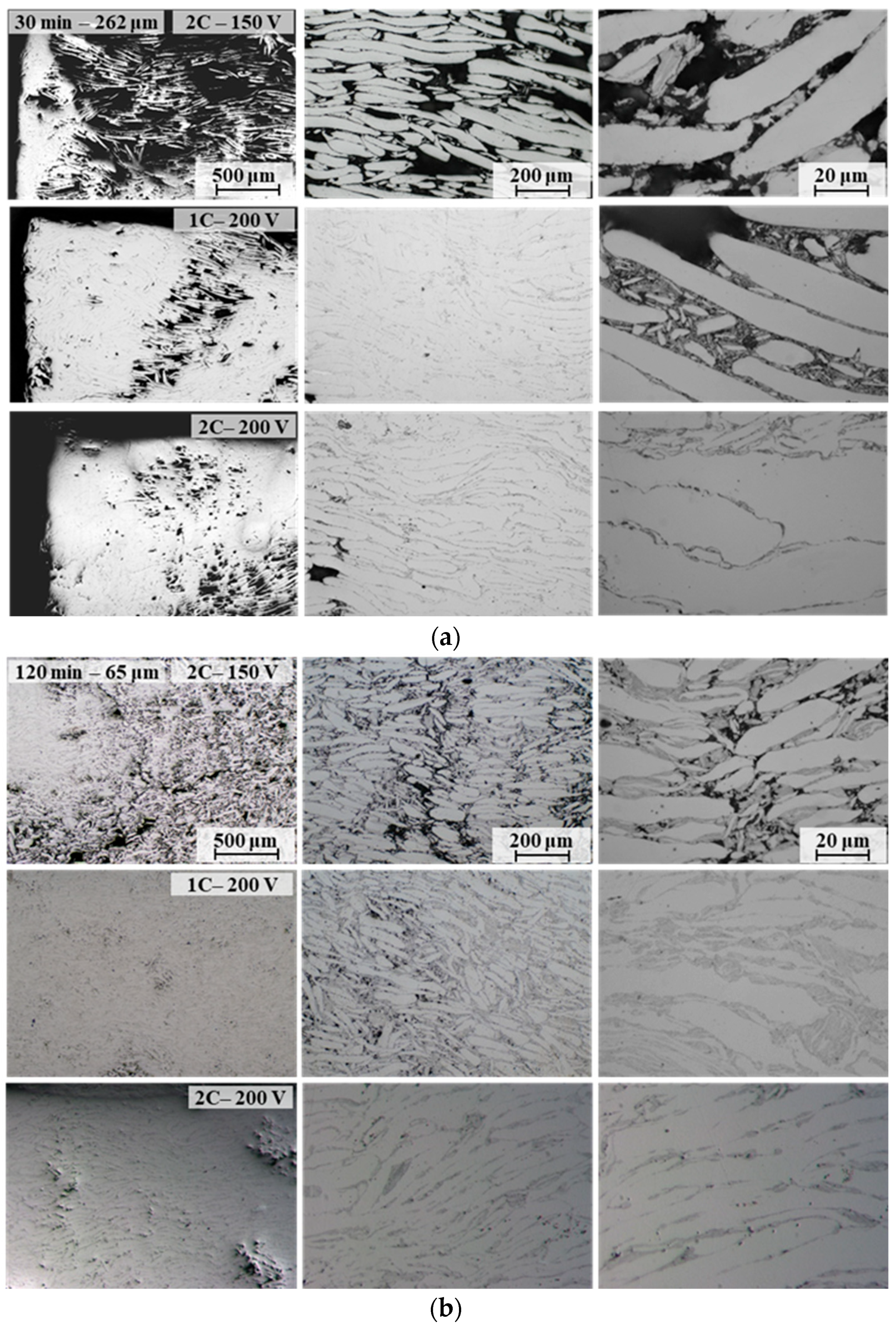 Metals 16 00239 g010 Metals 16 00239 g010