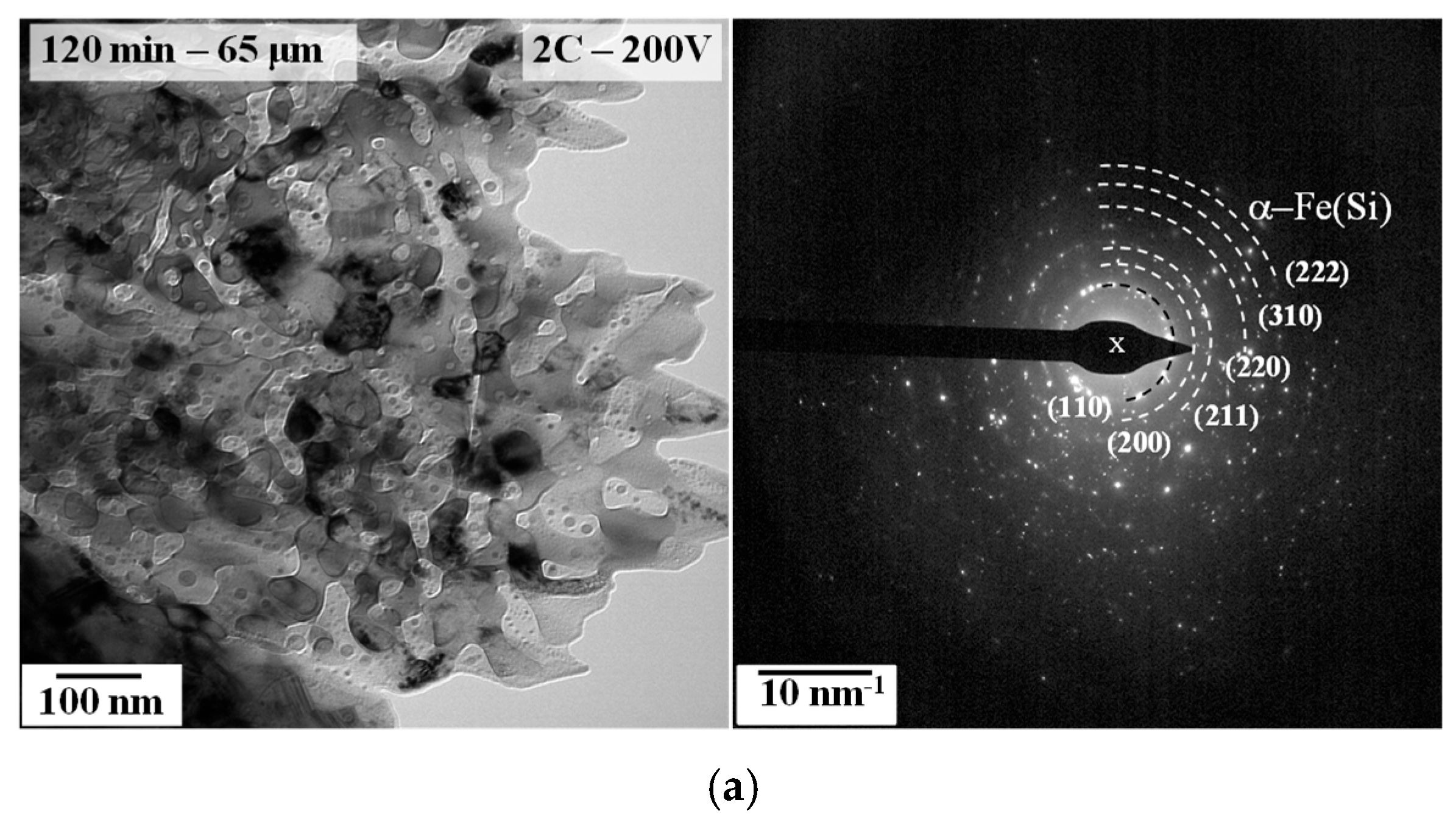 Metals 16 00239 g015a Metals 16 00239 g015a