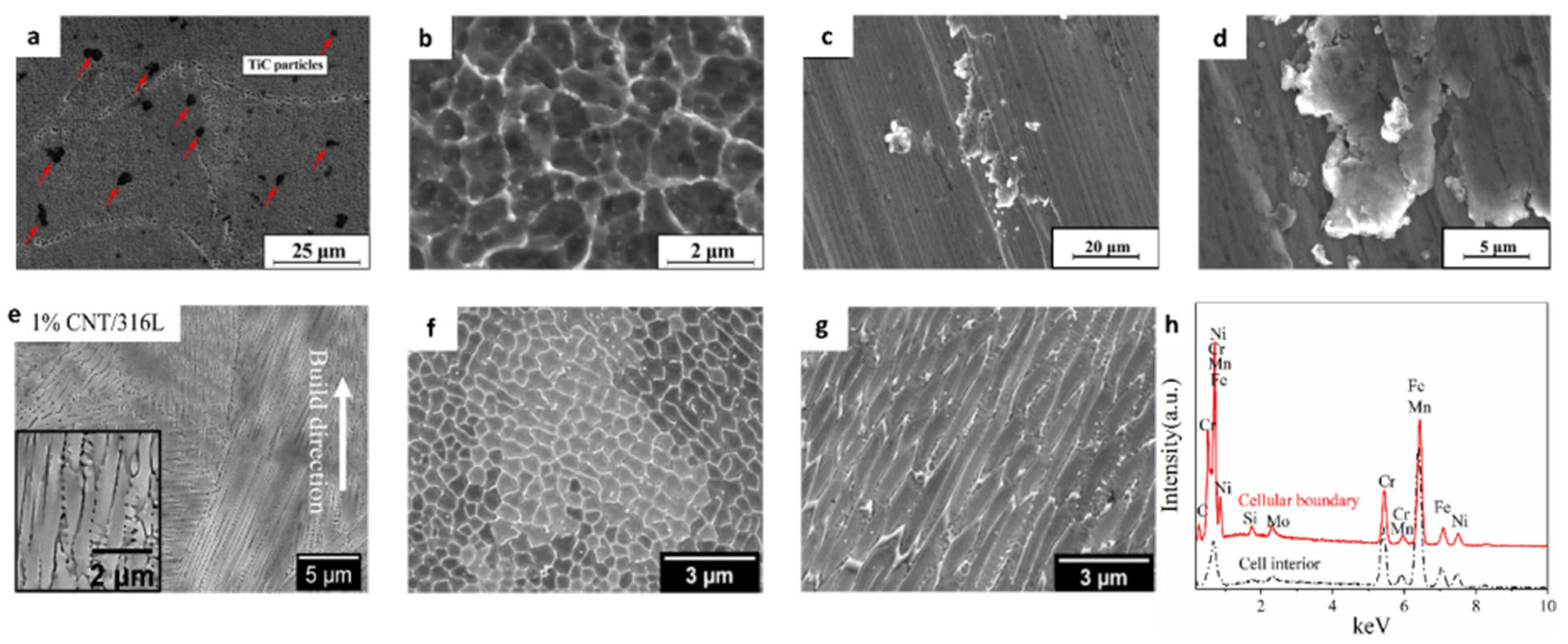 Metals 16 00260 g018