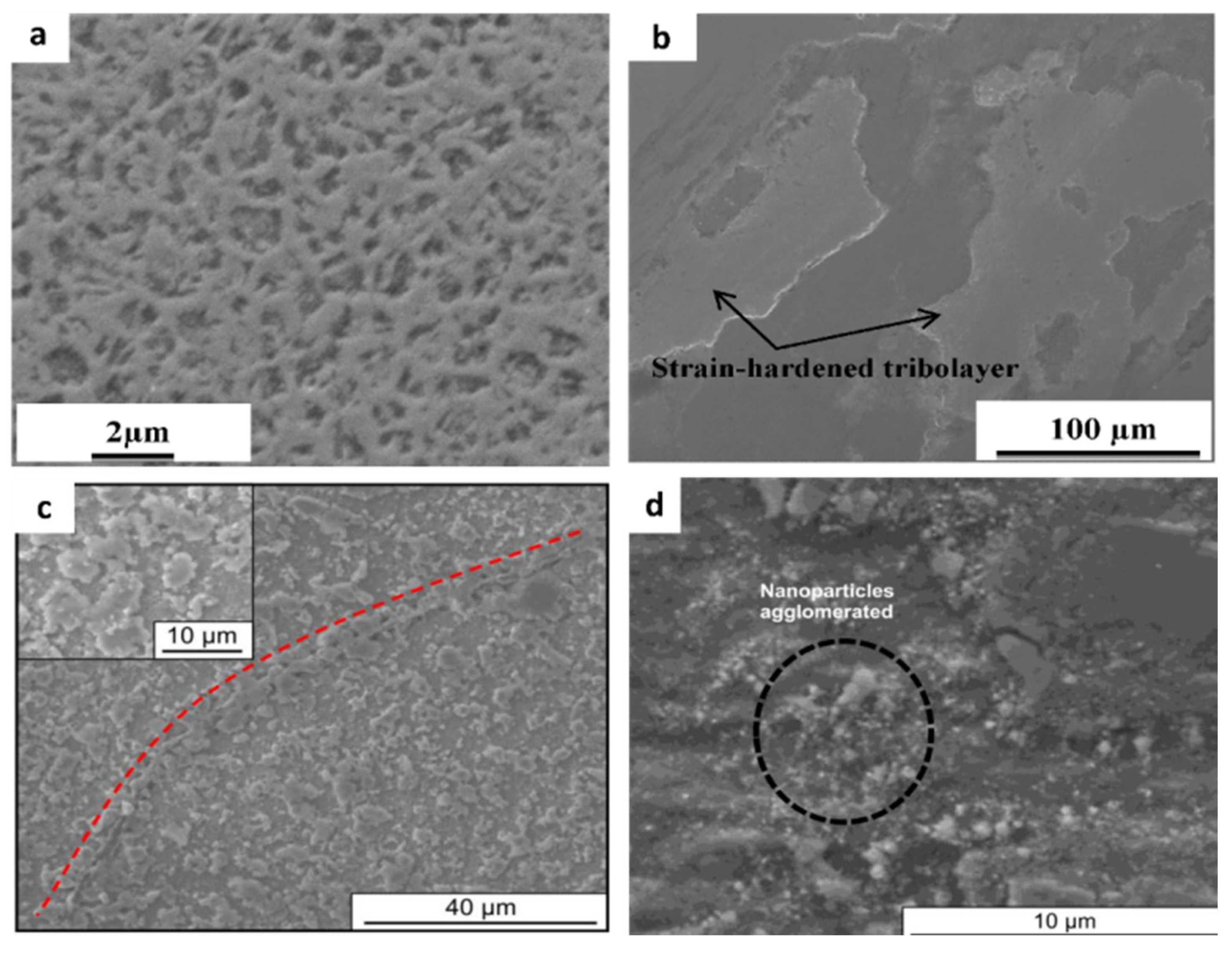 Metals 16 00260 g020