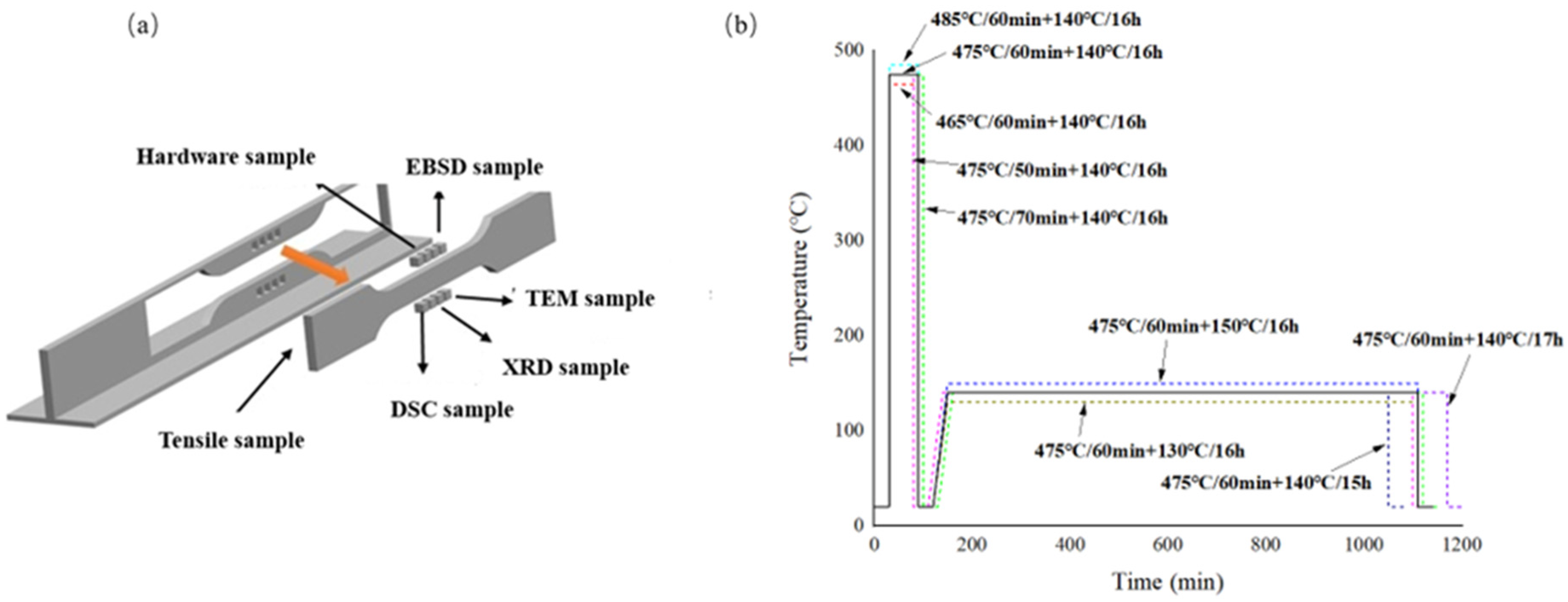 Metals 16 00294 g001