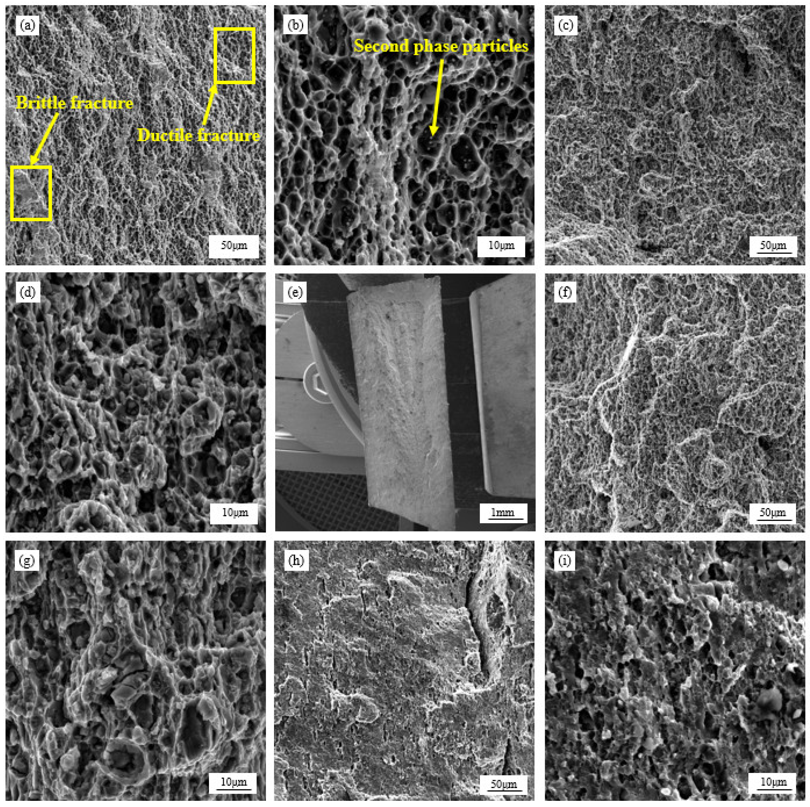 Metals 16 00294 g010