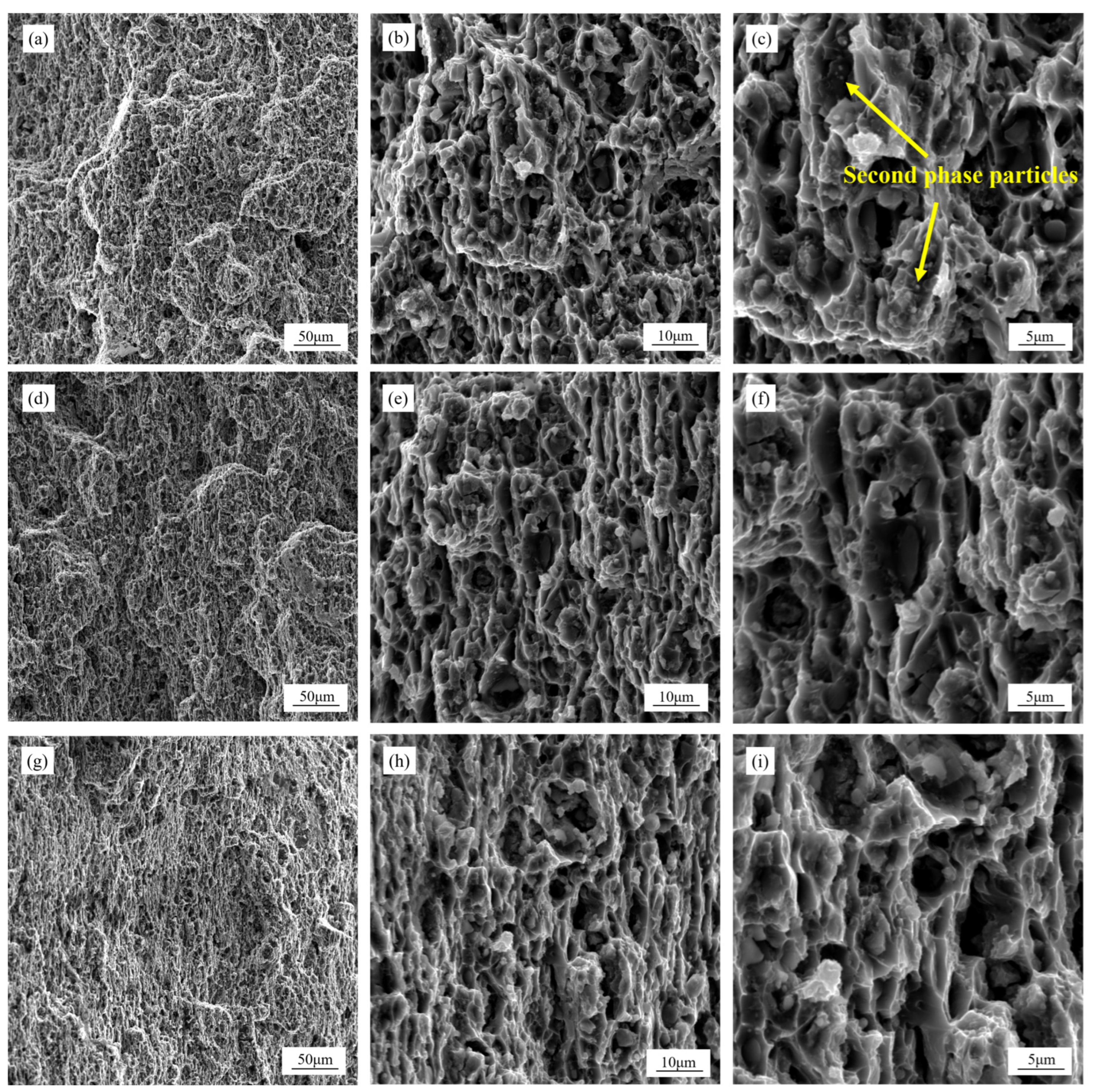 Metals 16 00294 g015