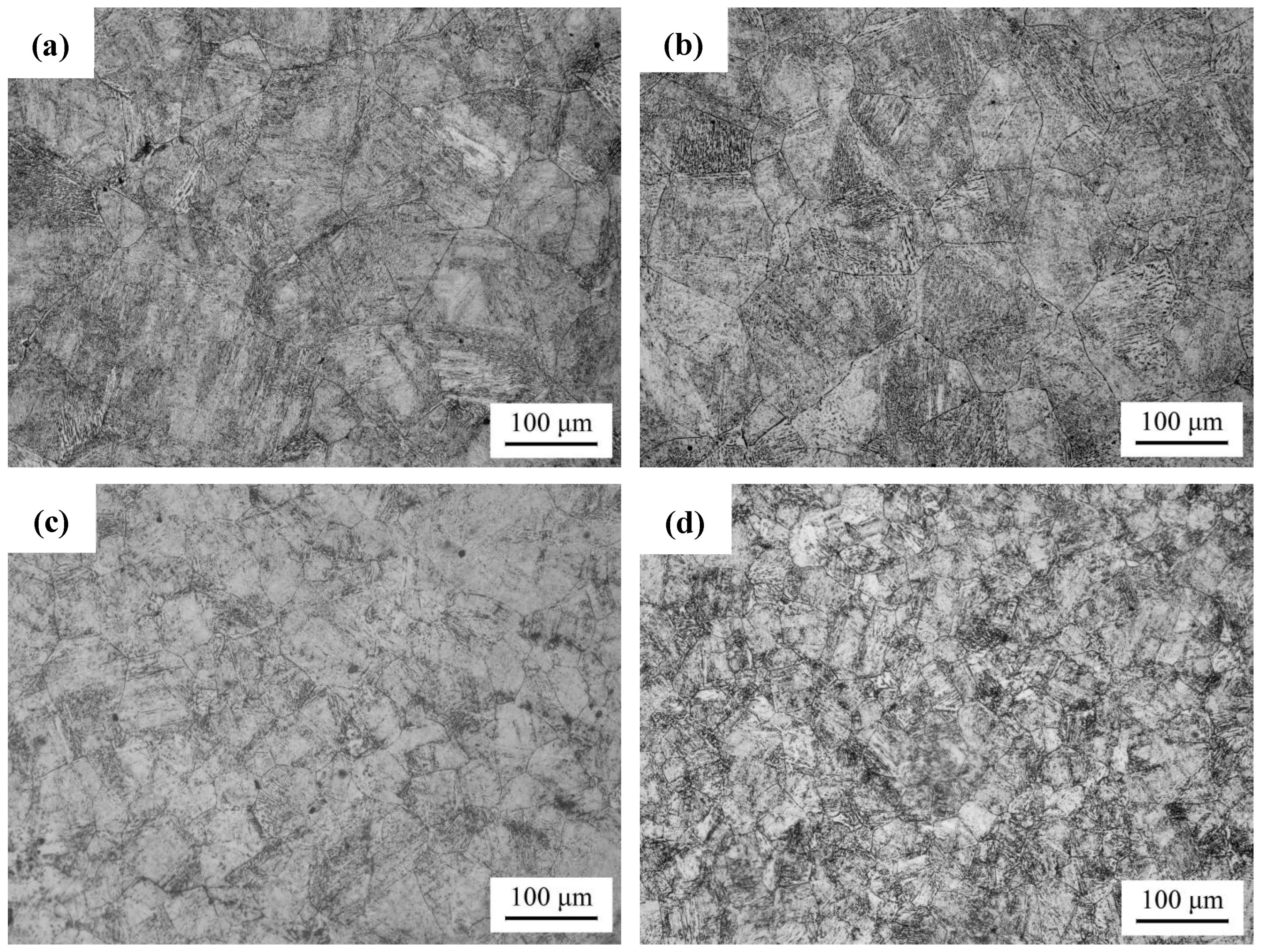 Metals 16 00331 g009 Metals 16 00331 g009