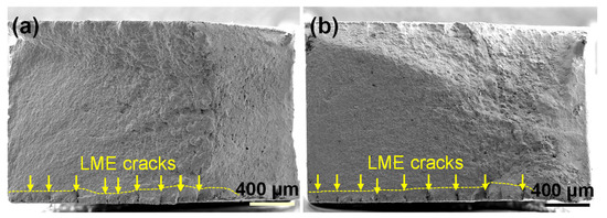 Metals 16 00338 g012a Metals 16 00338 g012a