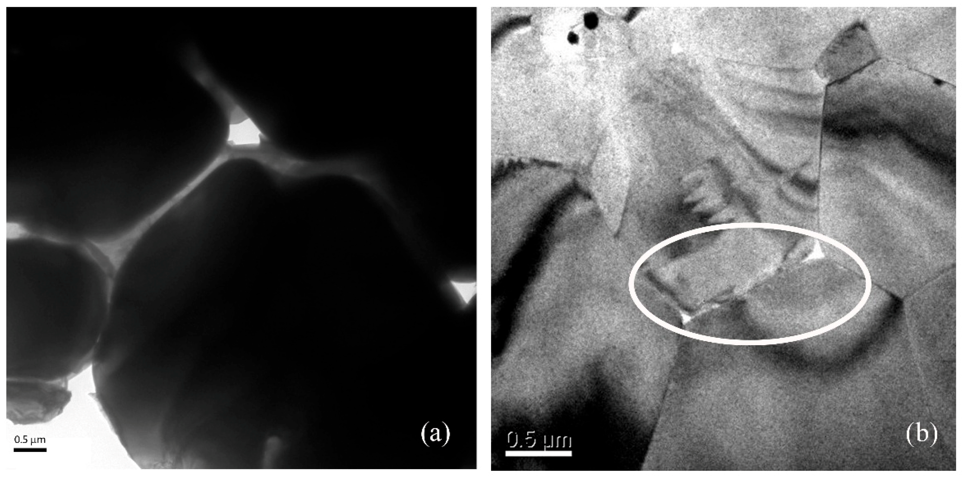 Metals 16 00355 g010