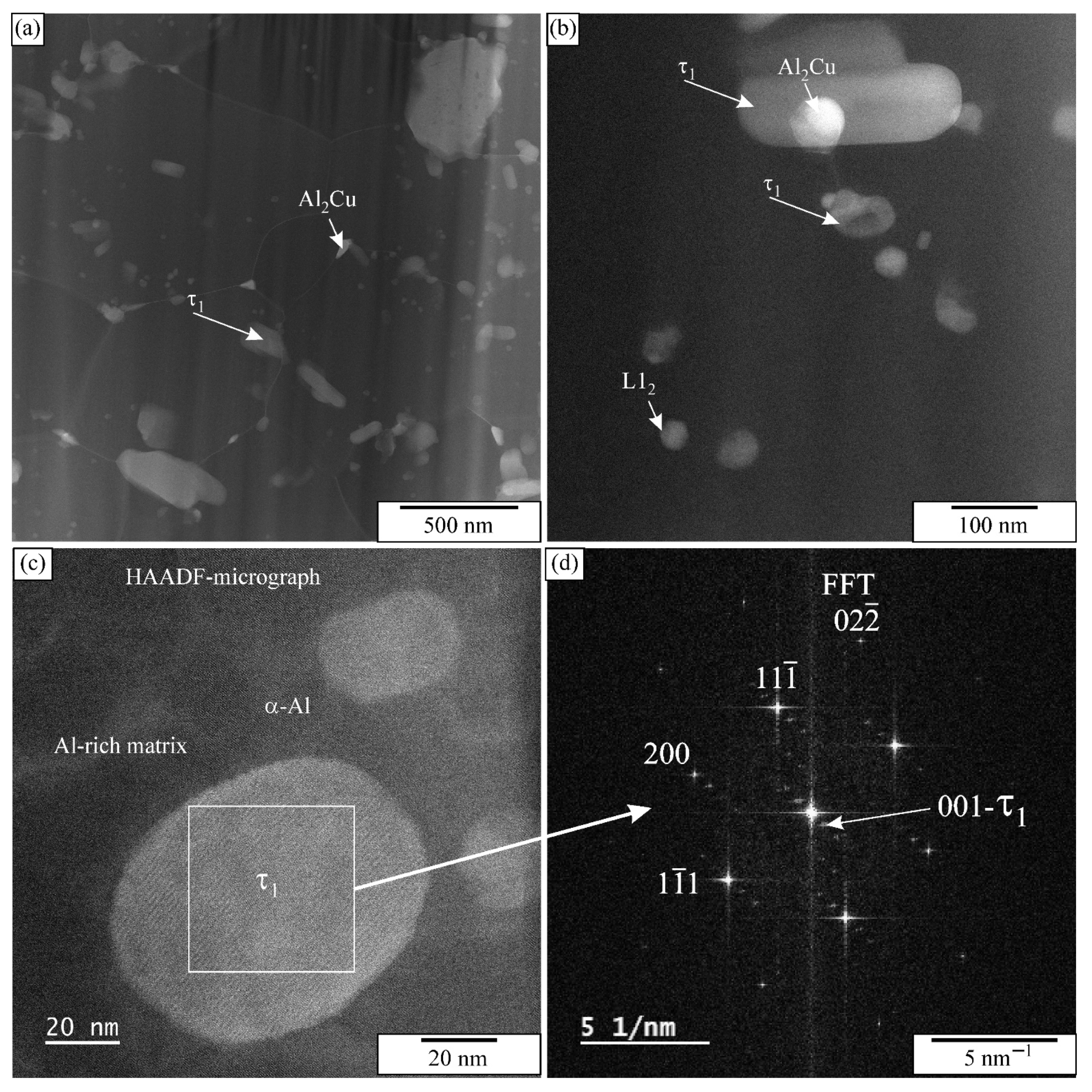 Metals 16 00358 g010