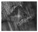 Metals 16 00481 i002 Metals 16 00481 i002