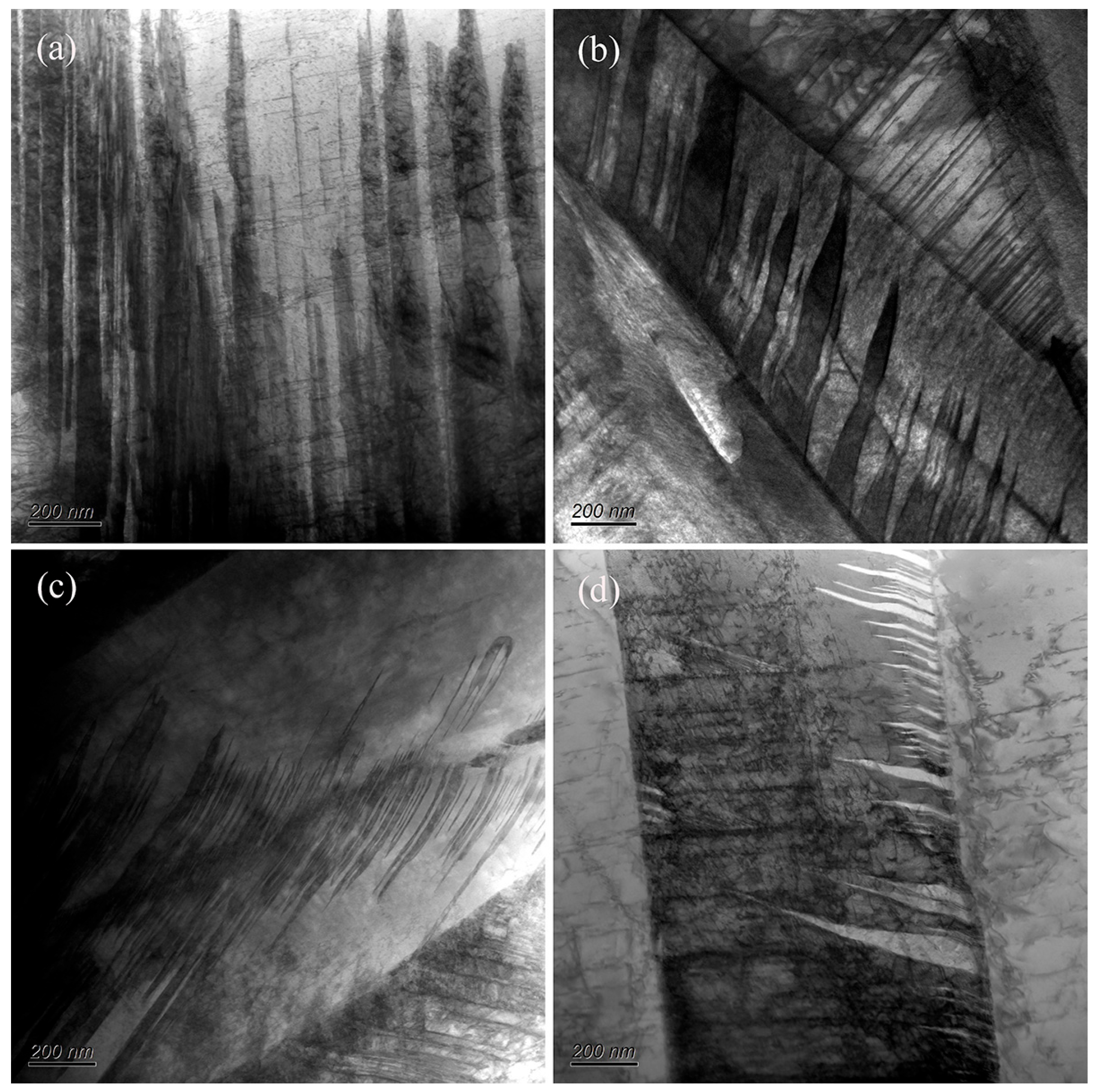 Metals 16 00513 g007 Metals 16 00513 g007