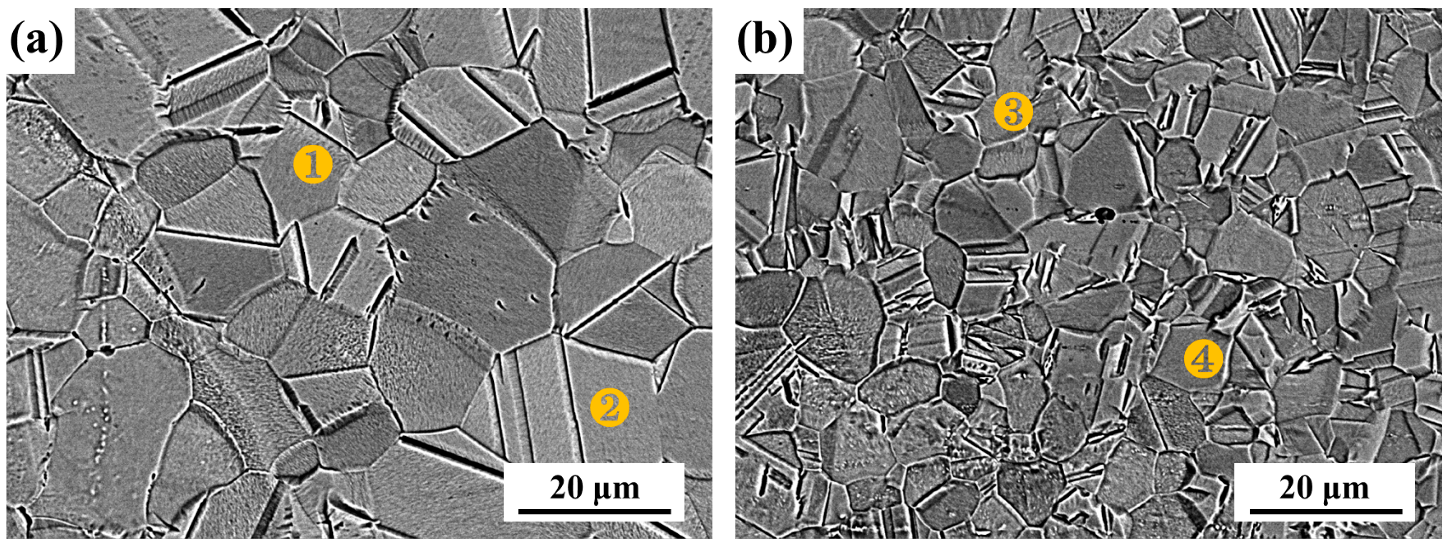 Metals 16 00544 g001