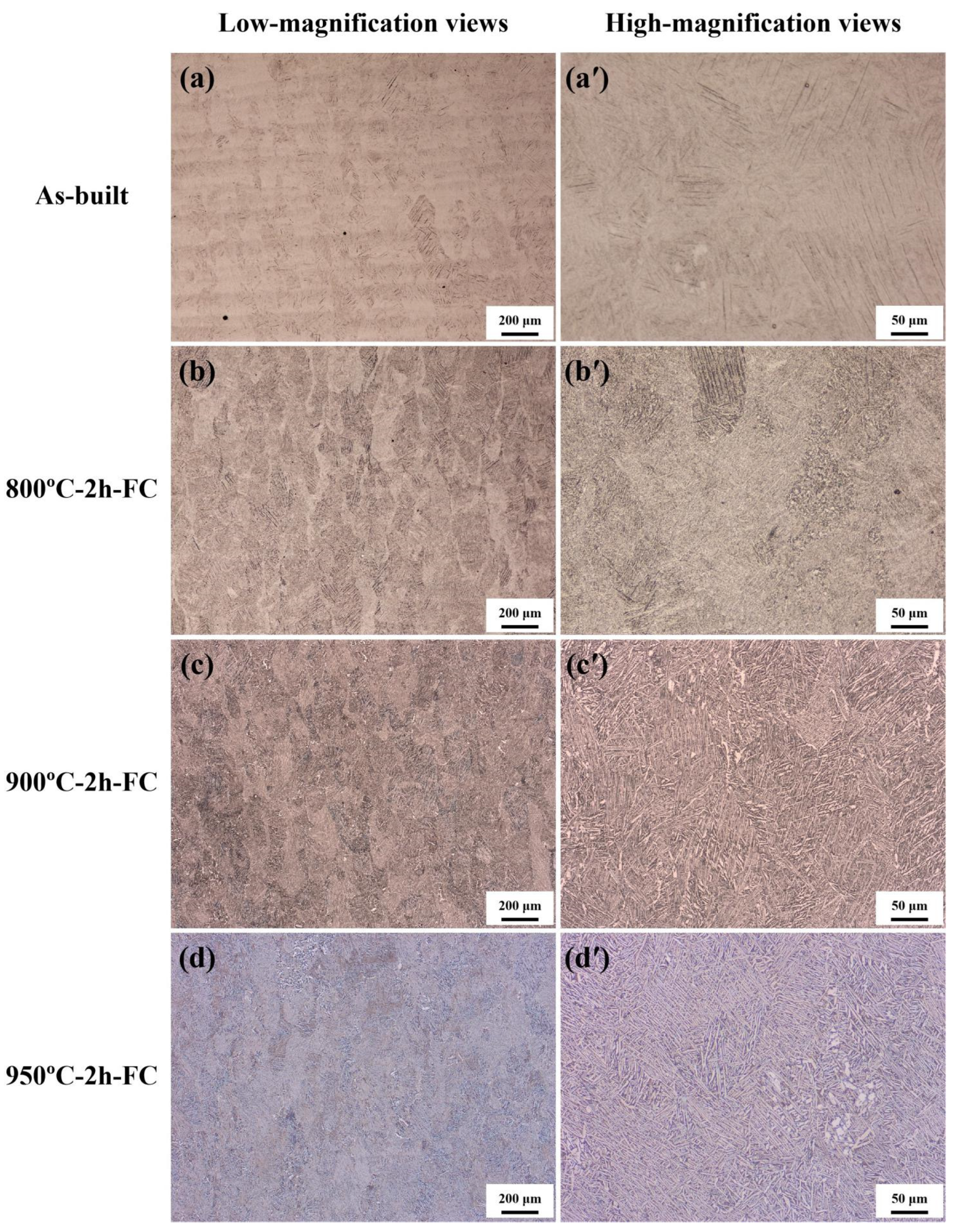 Metals 16 00900 g003 Metals 16 00900 g003
