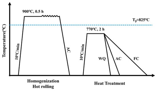 Thermomechanical processing and heat treatment schedule.