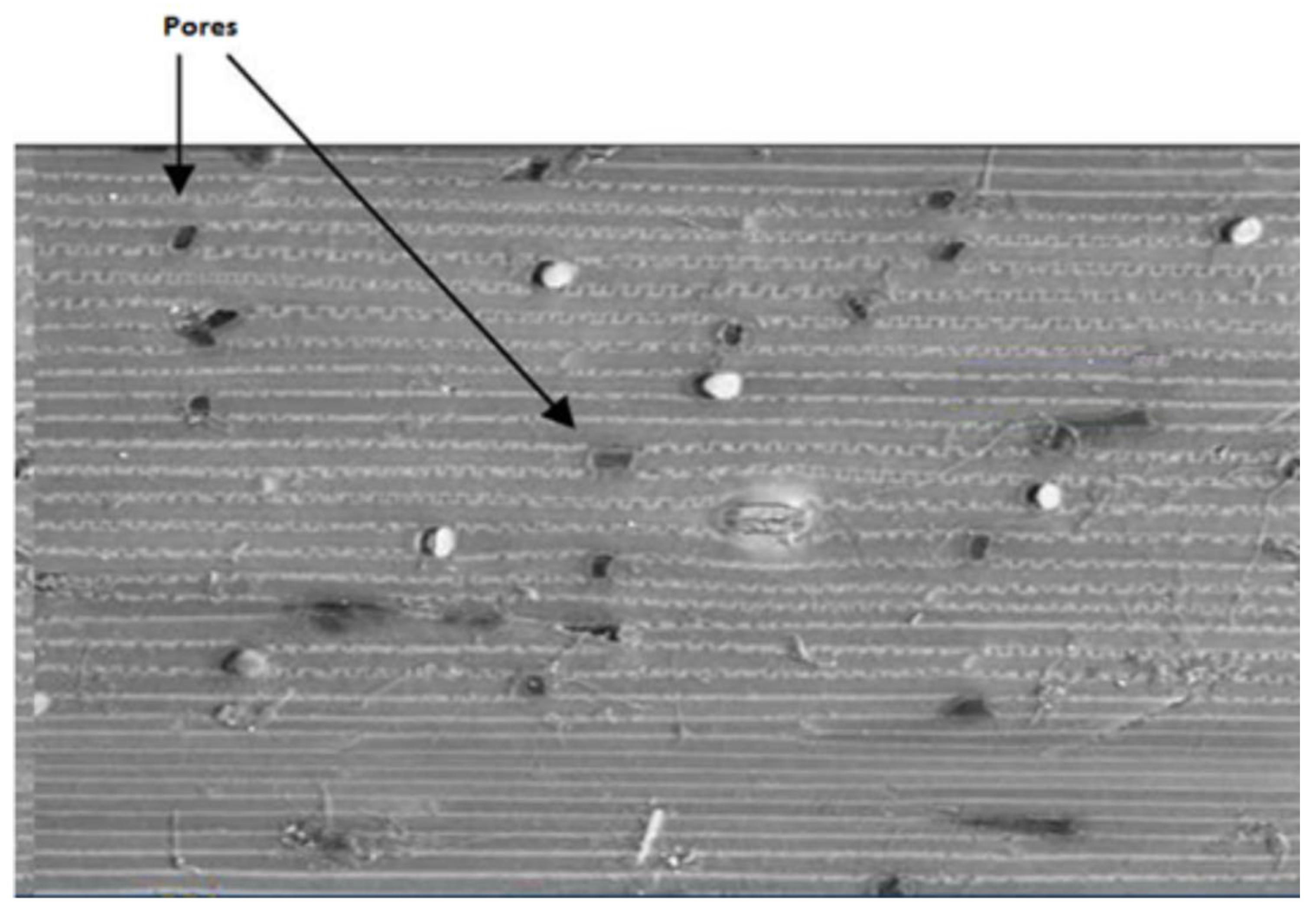 Methane 01 00014 g007 Methane 01 00014 g007