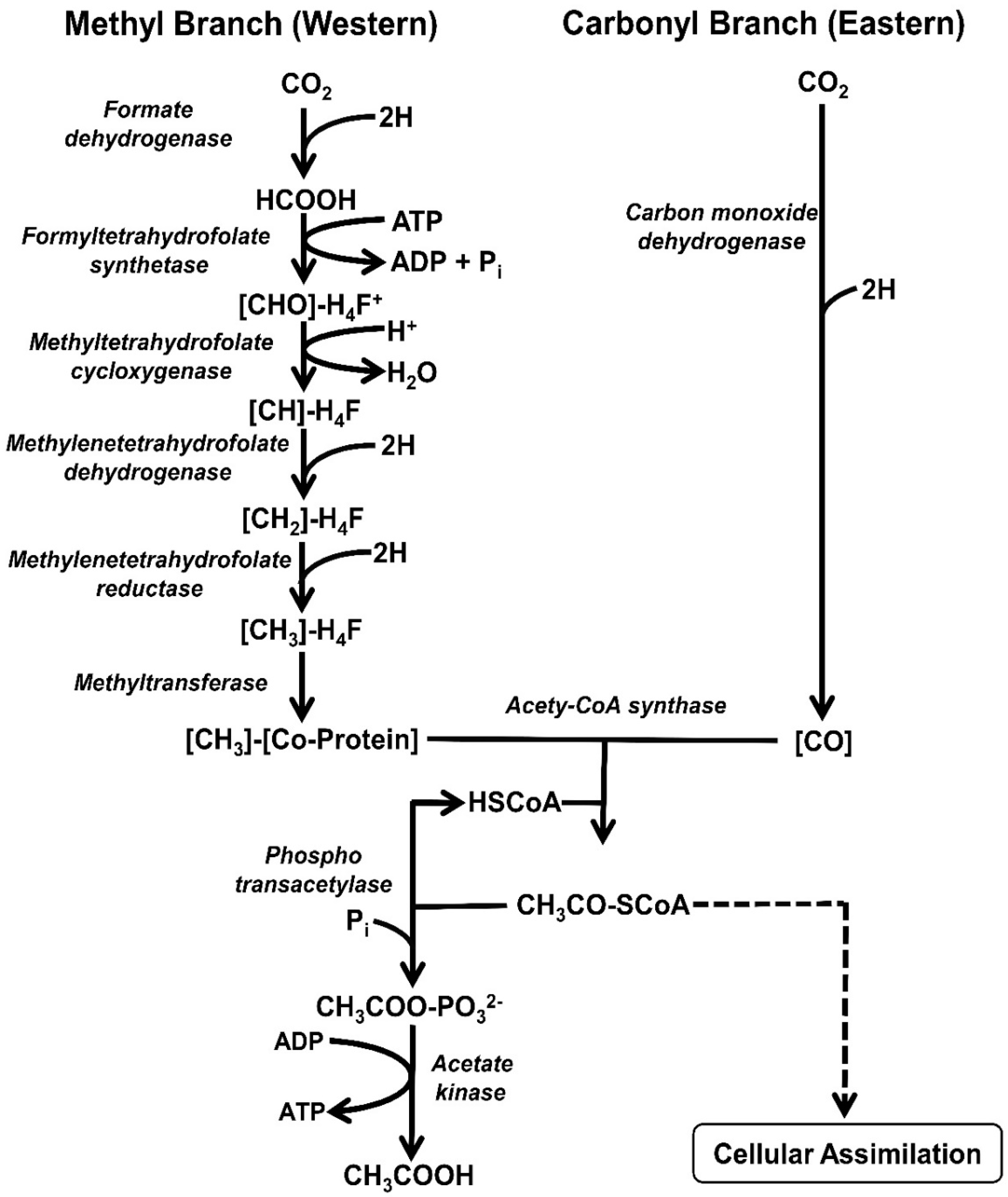 Methane 01 00024 g002