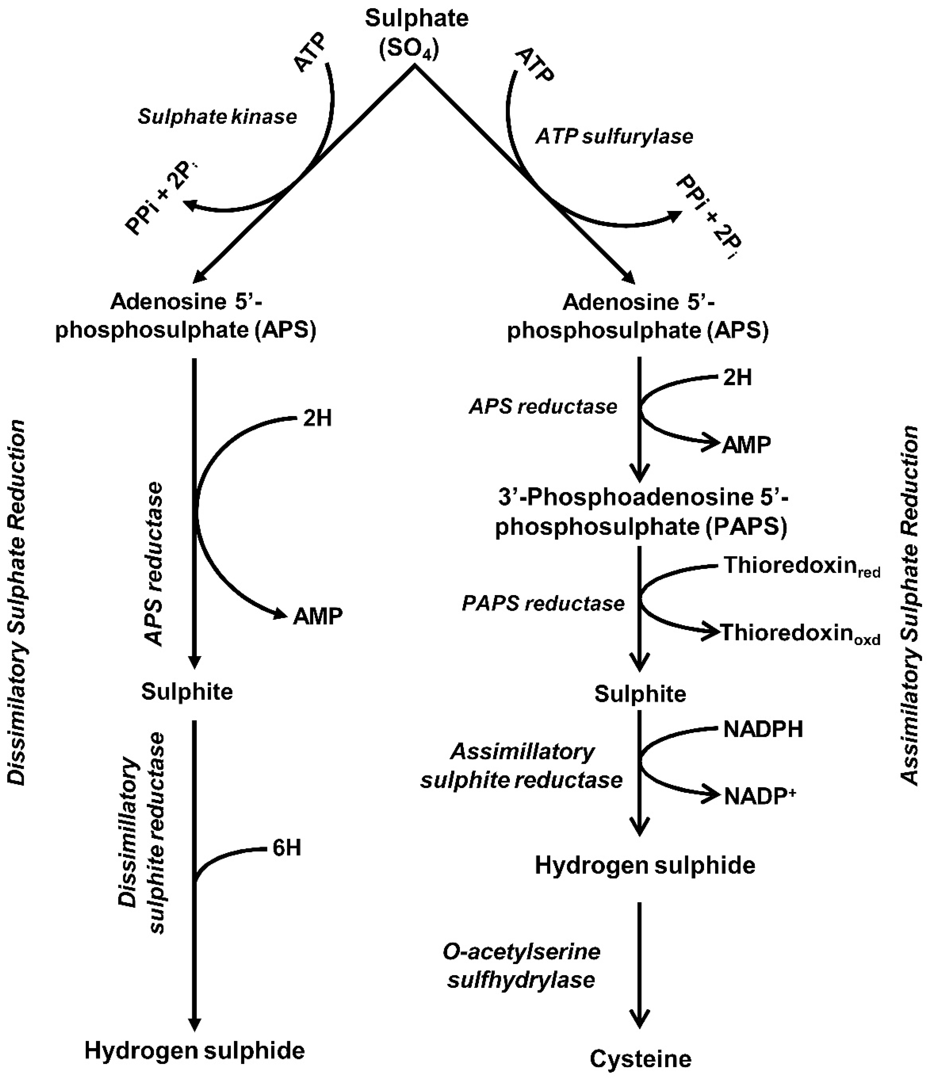 Methane 01 00024 g003