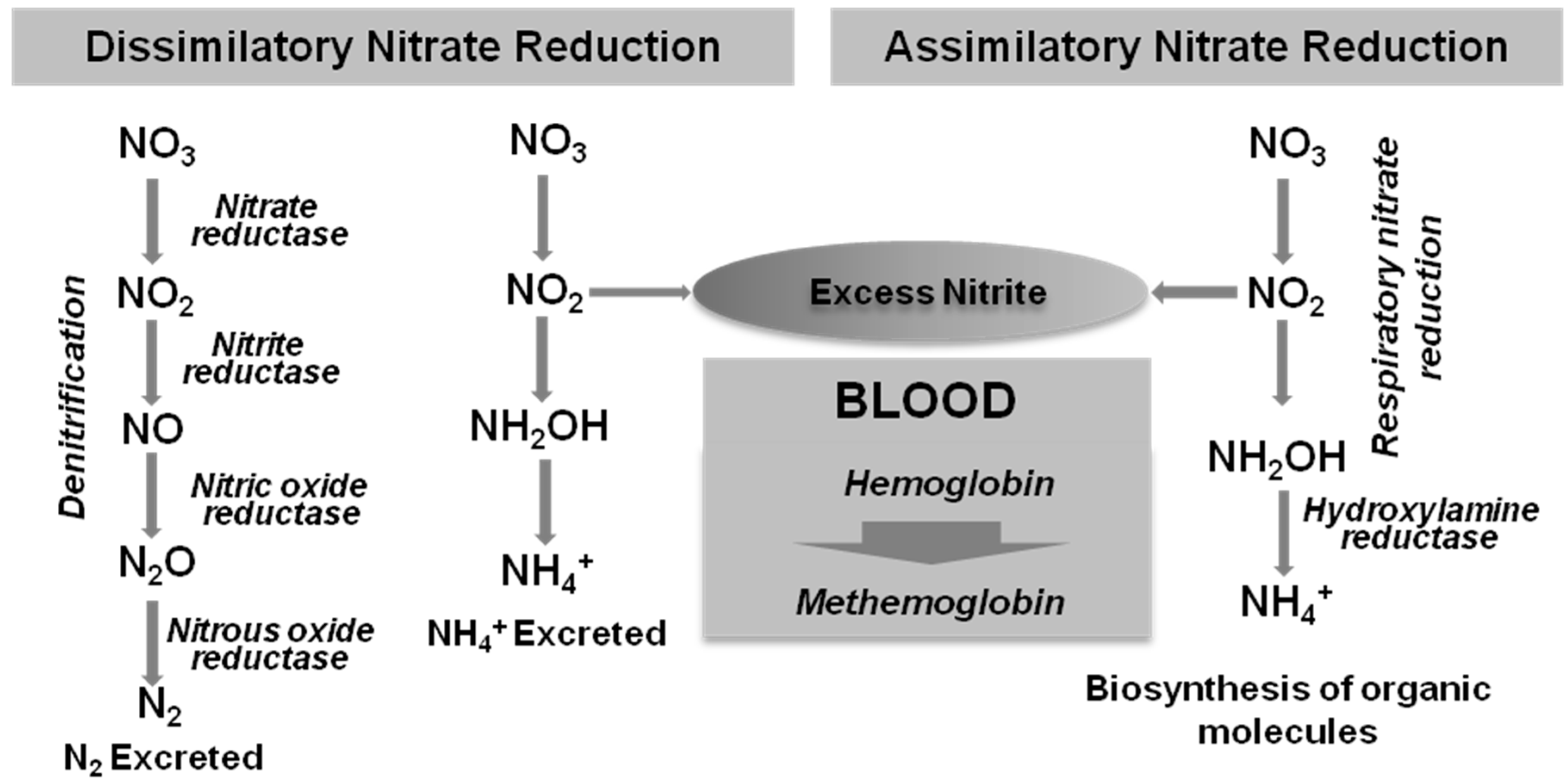 Methane 01 00024 g004